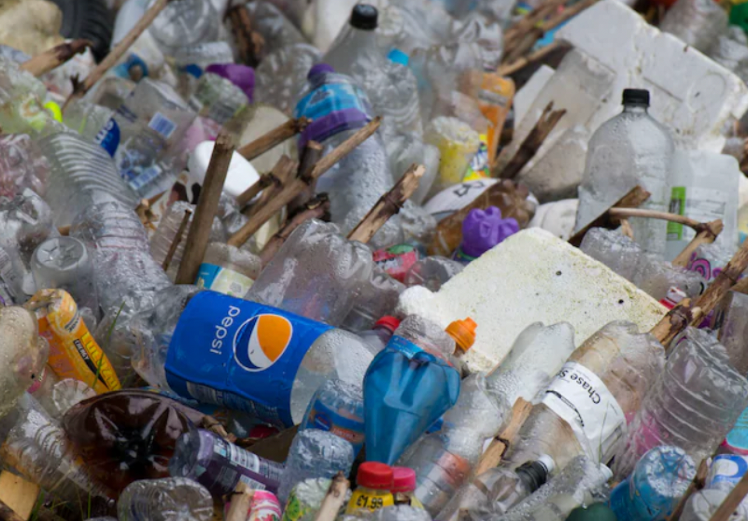 Plastikfrei leben – eine unerreichbare Utopie?