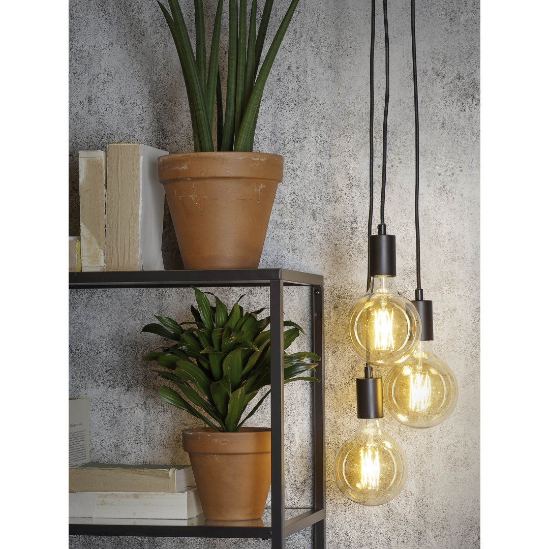 Ein Bild aus dem Taiga Store von taiga.green. Ein Metallregal mit zwei Topfpflanzen und gestapelten Büchern steht neben drei hängenden, leuchtenden Glühbirnen mit freiliegenden Glühfäden, alles vor einer strukturierten grauen Wand. Jetzt bestellen im Eco Shop von www.taiga.green. Hier nachhaltig einkaufen mit dem Taiga Eco Rating