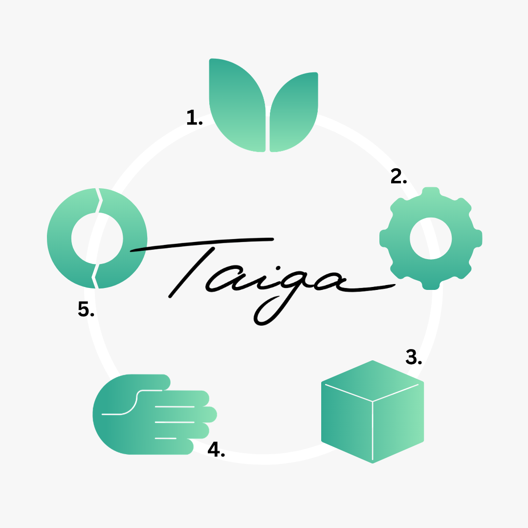 Taiga