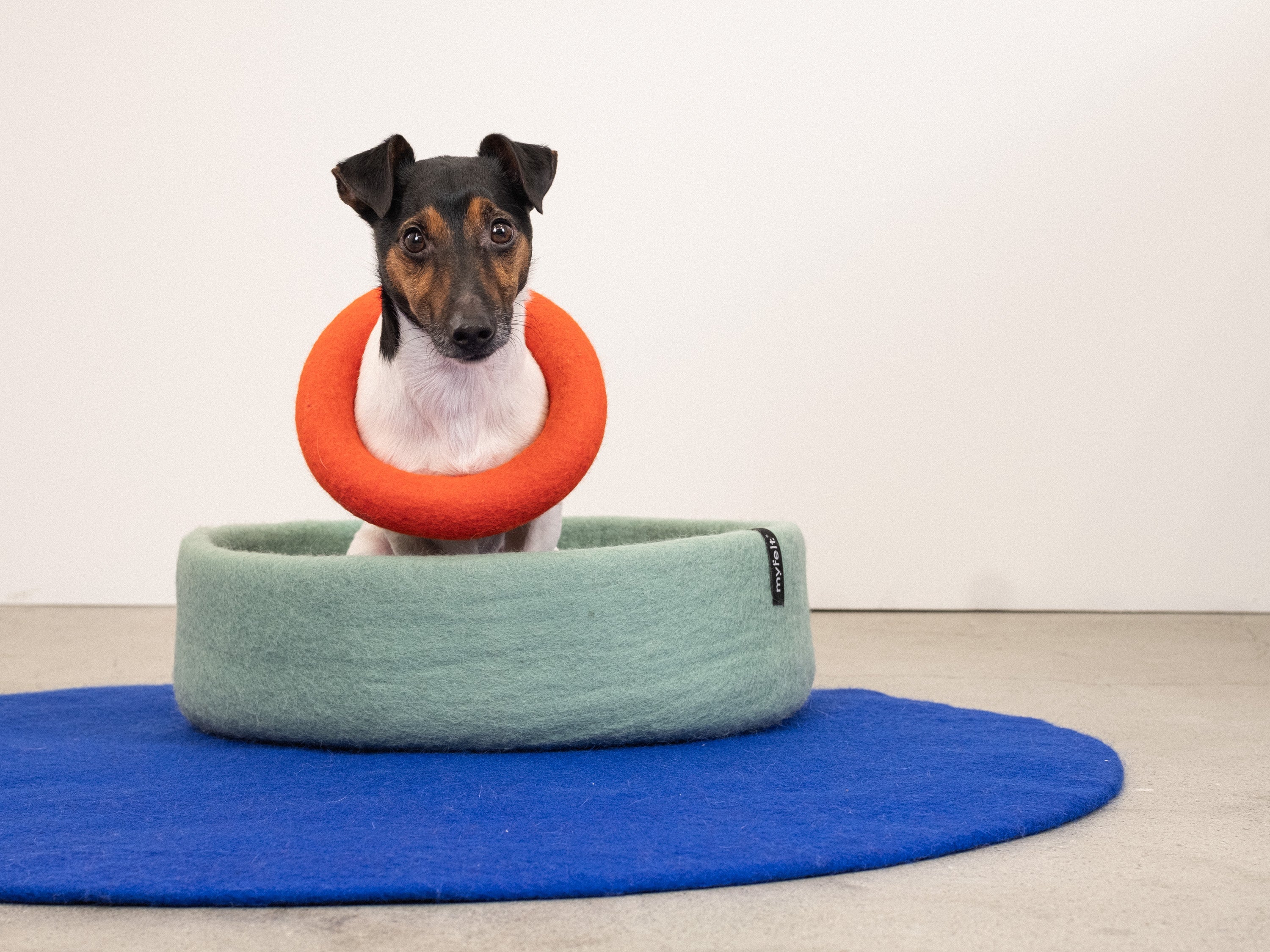 myfelt Fine Hundekorb Hundebett aus Schurwolle – Bild 2