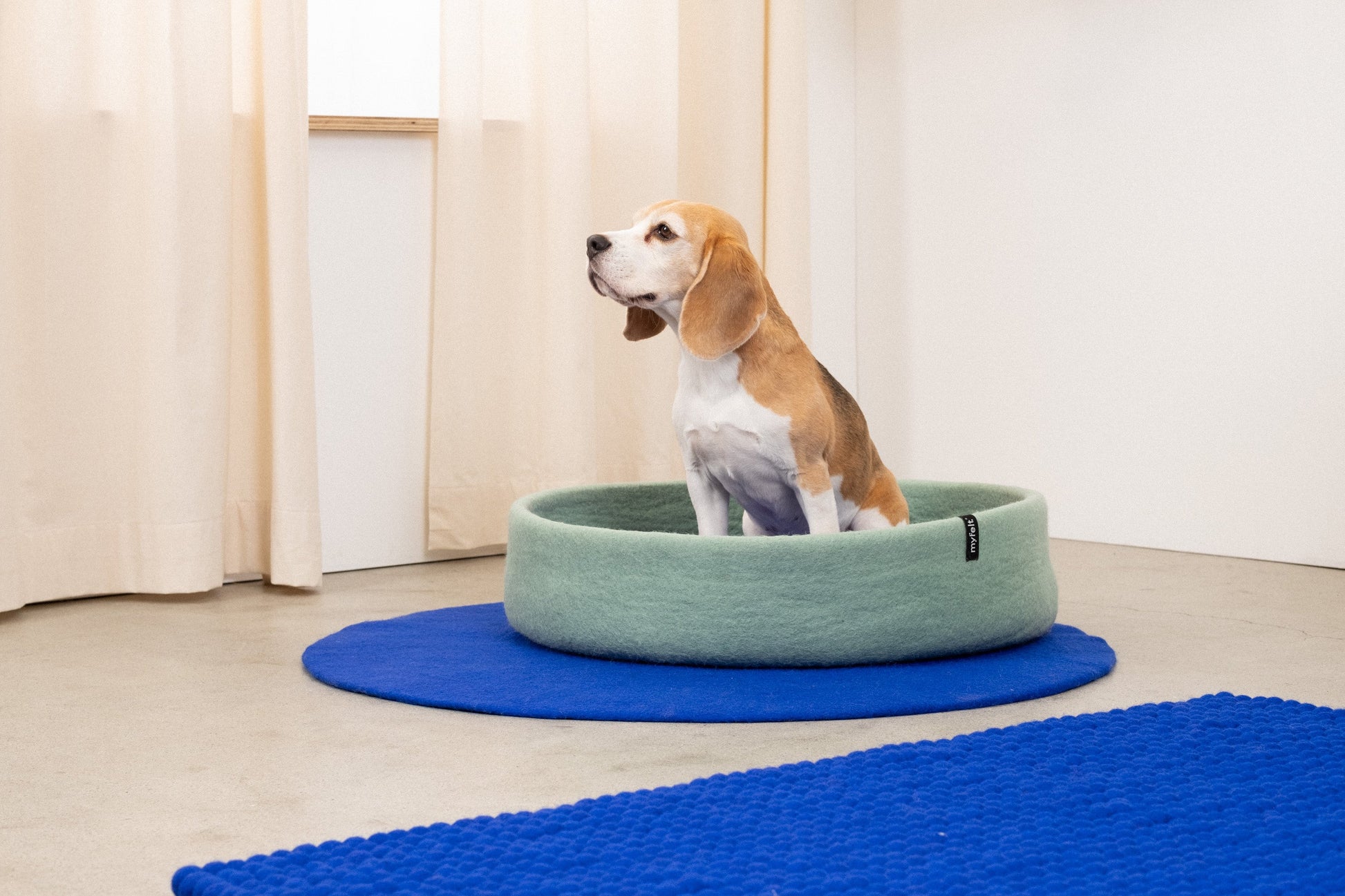 myfelt Fine Hundekorb Hundebett aus Schurwolle – Bild 21
