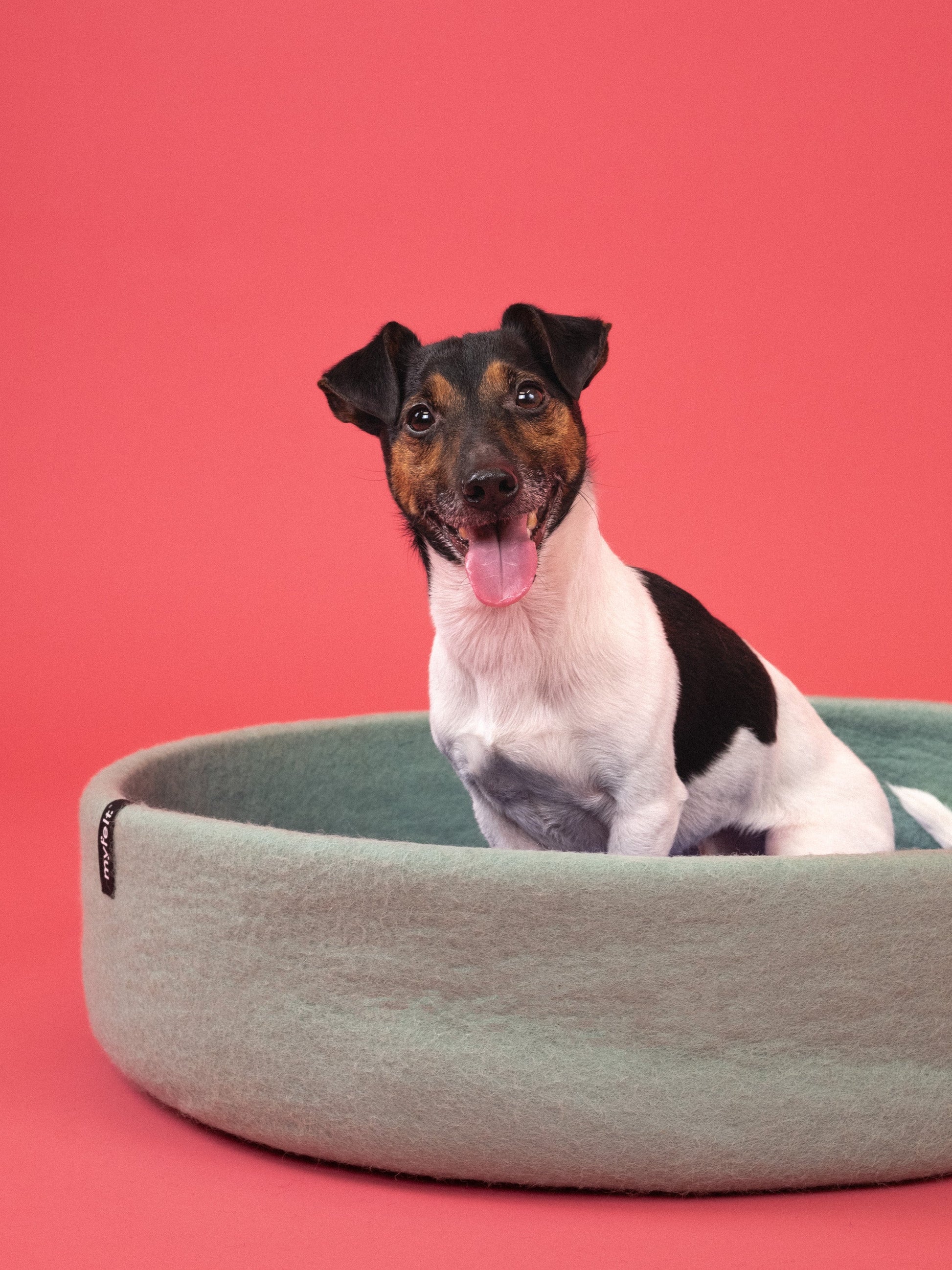 myfelt Fine Hundekorb Hundebett aus Schurwolle – Bild 20