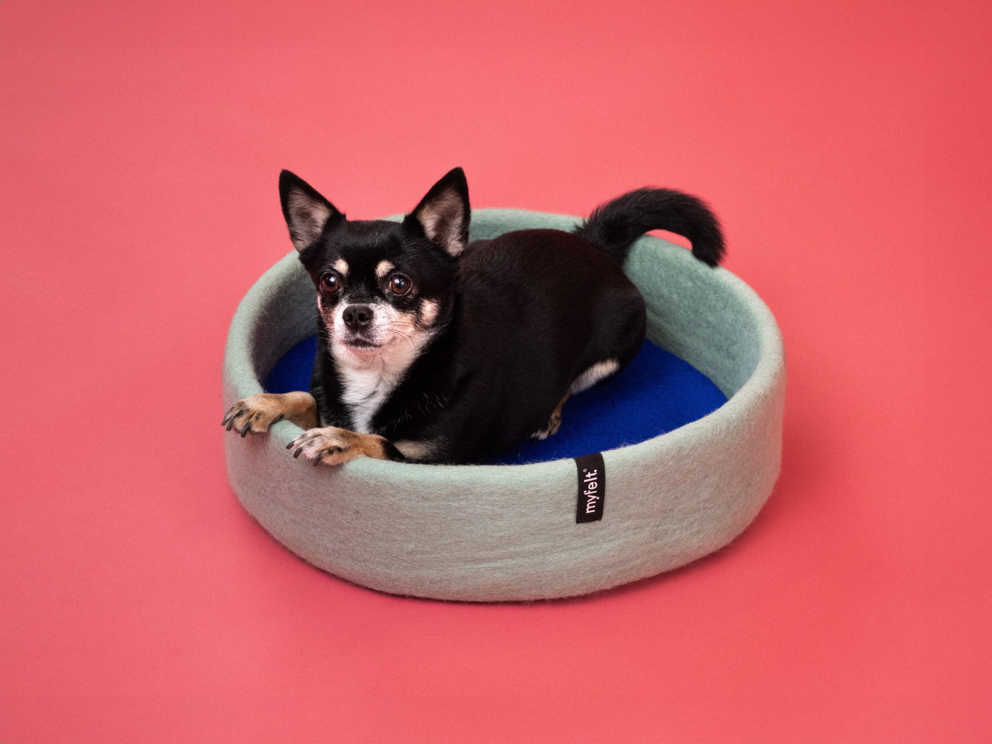 myfelt Fine Hundekorb Hundebett aus Schurwolle – Bild 15
