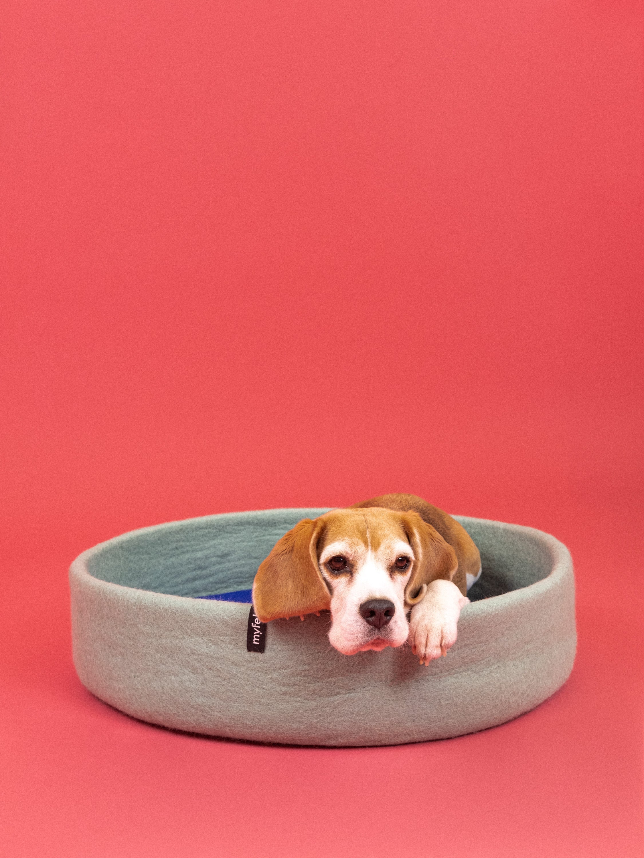 myfelt Fine Hundekorb Hundebett aus Schurwolle – Bild 18