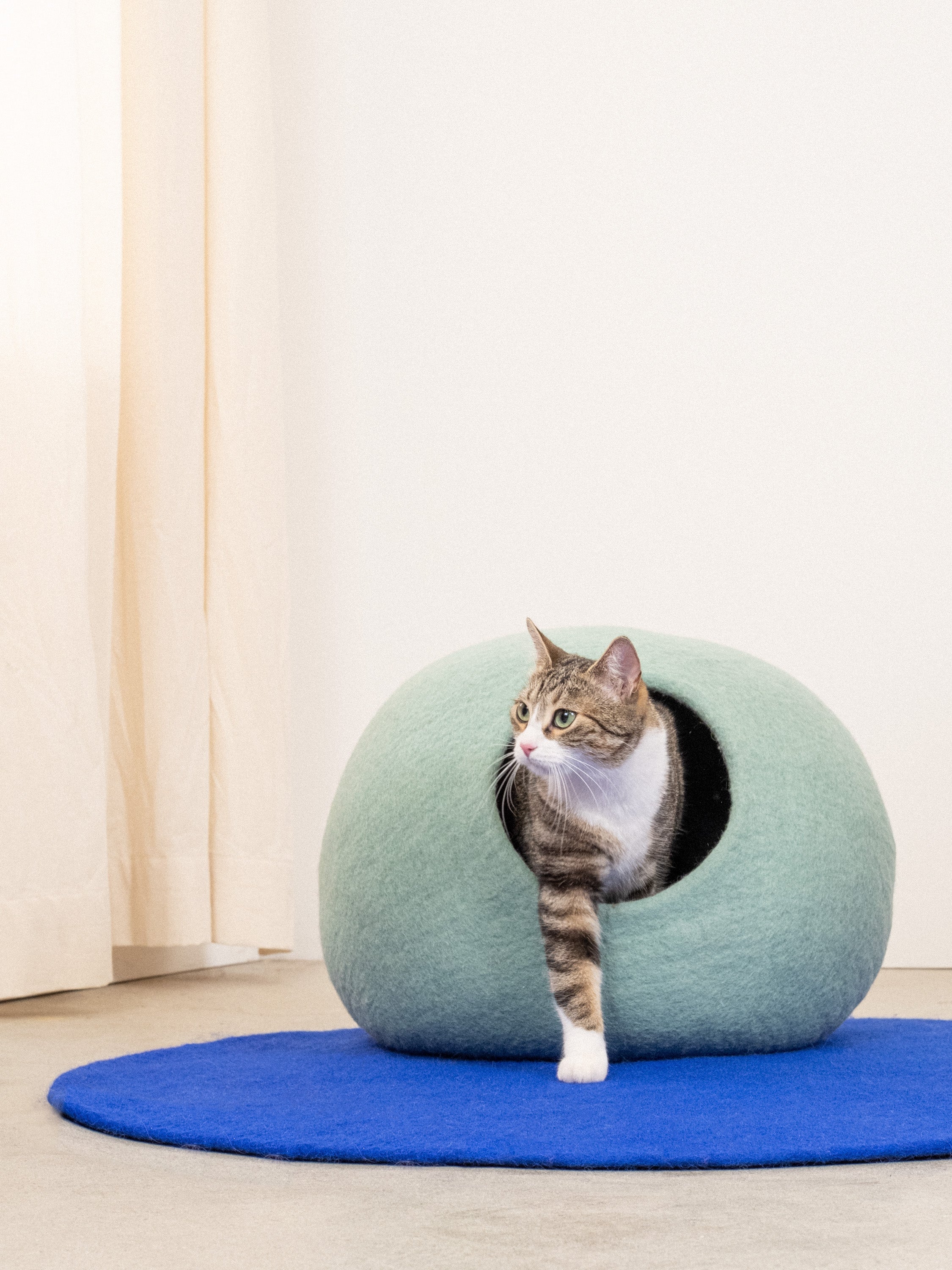 myfelt Fine Katzenhöhle Katzenbett aus Schurwolle – Bild 5