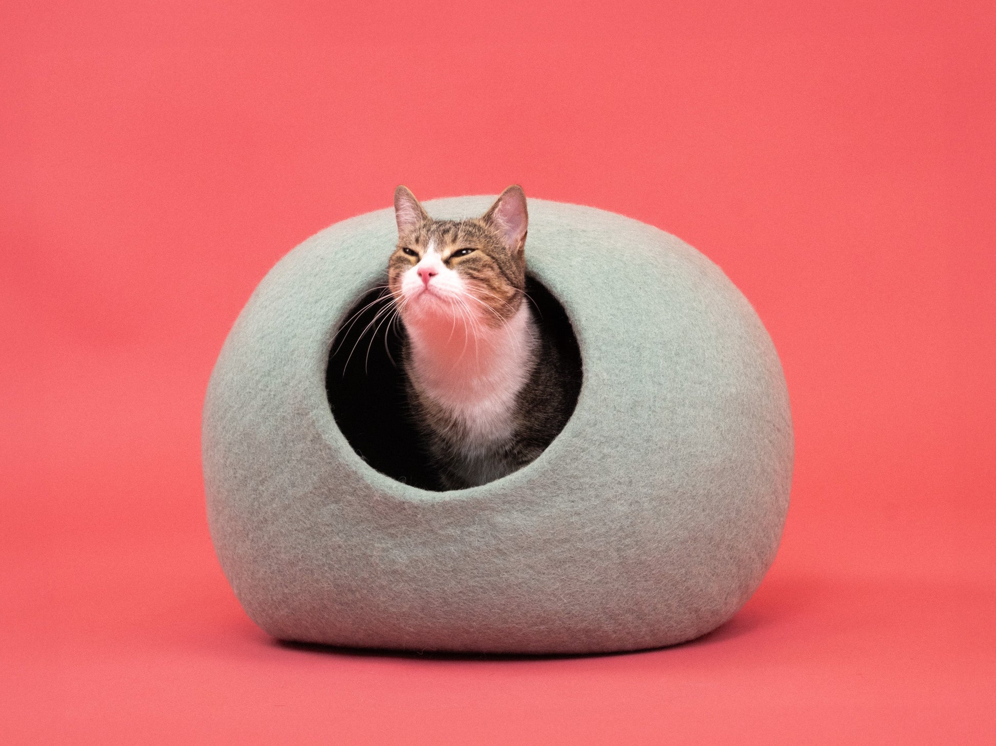myfelt Fine Katzenhöhle Katzenbett aus Schurwolle – Bild 2