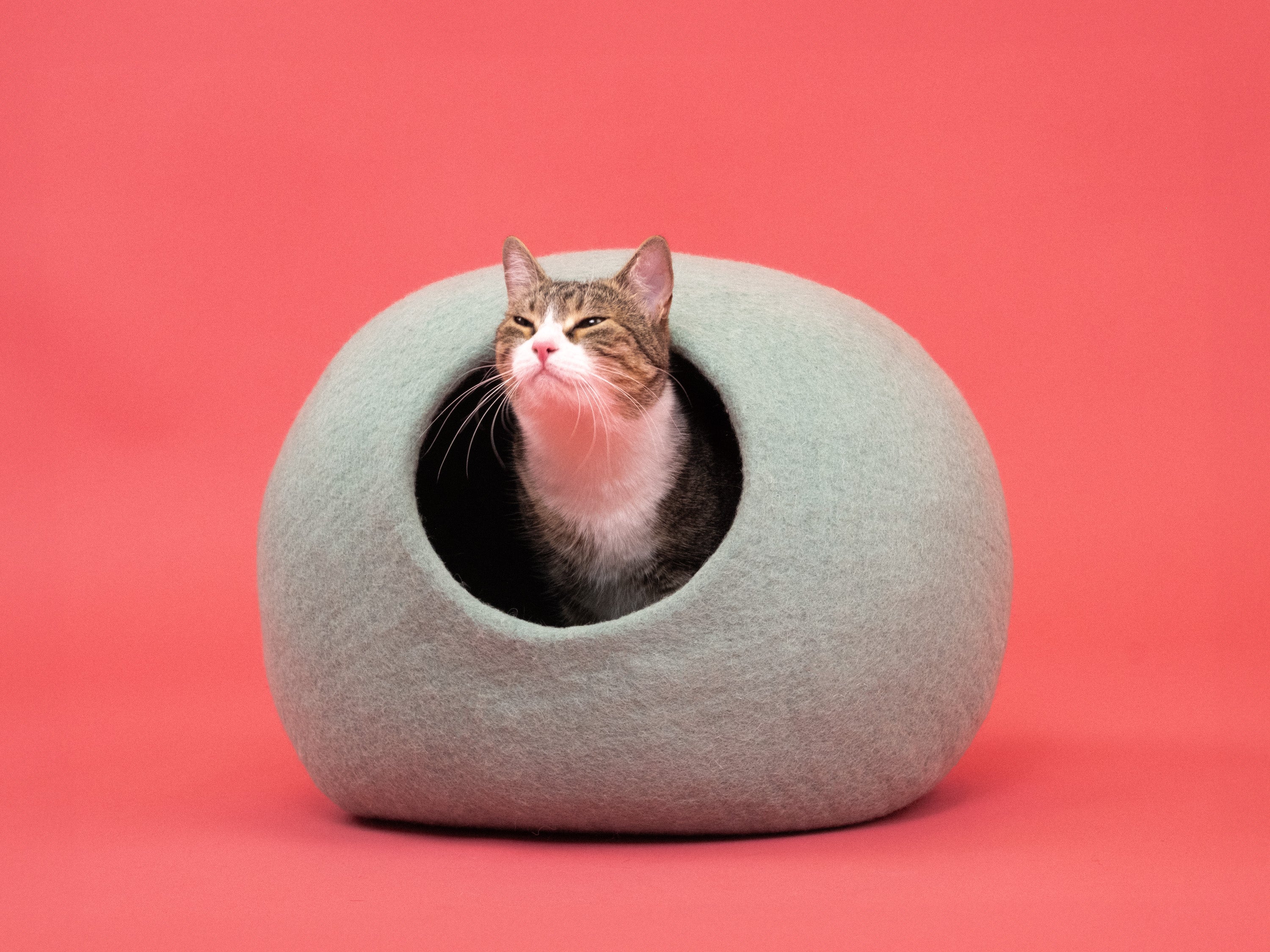 myfelt Fine Katzenhöhle Katzenbett aus Schurwolle – Bild 2
