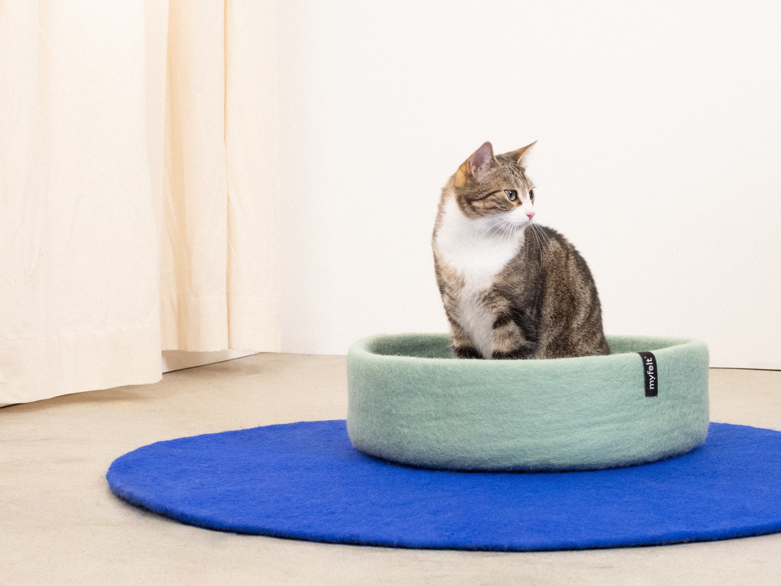 myfelt Fine Katzenkorb Katzenbett aus Schurwolle – Bild 2
