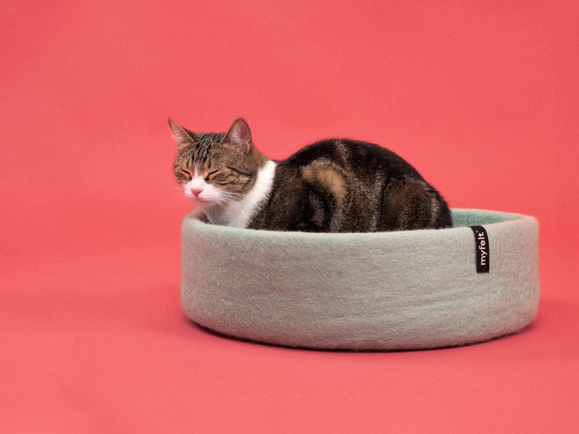 myfelt Fine Katzenkorb Katzenbett aus Schurwolle – Bild 8