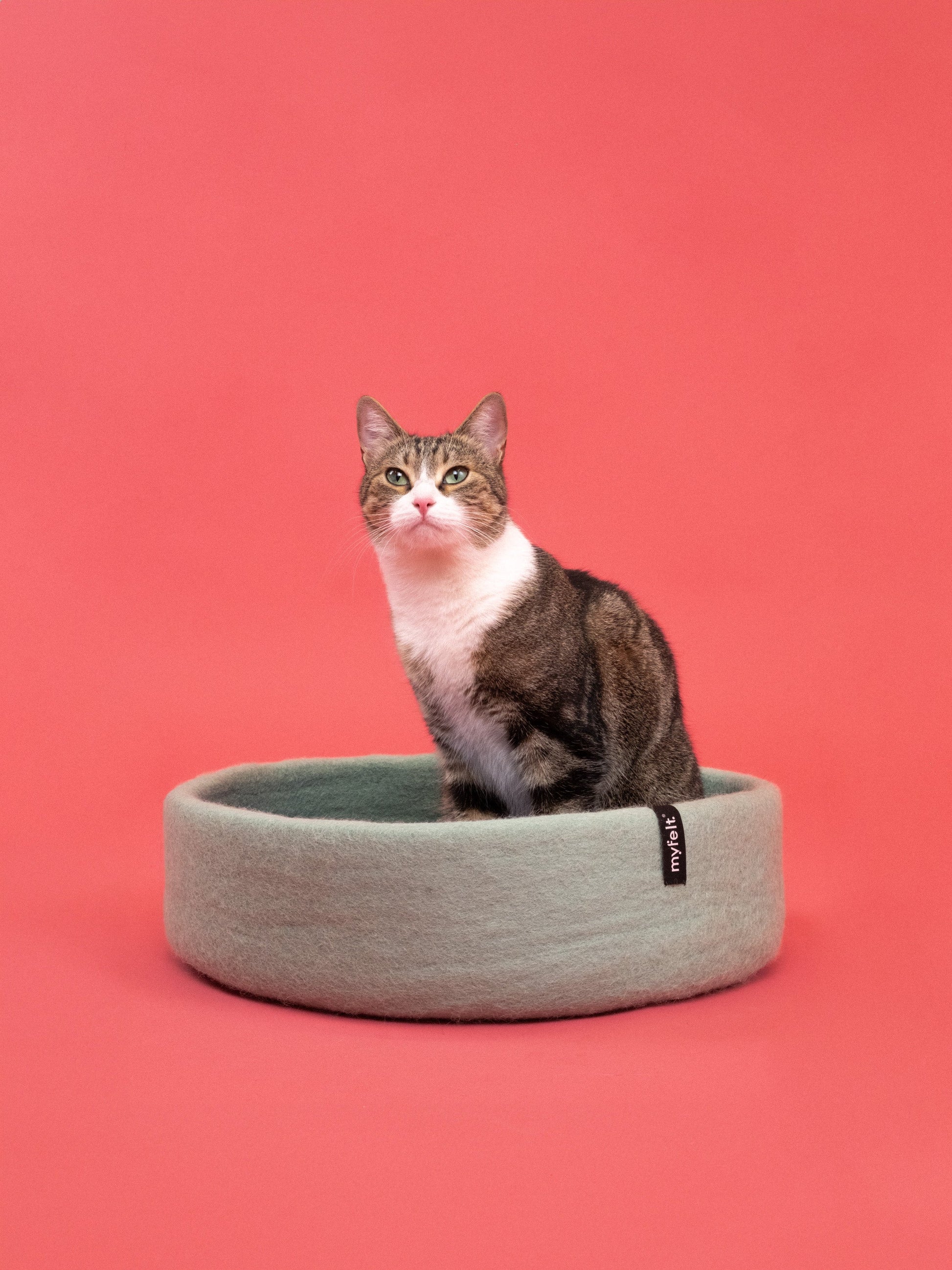 myfelt Fine Katzenkorb Katzenbett aus Schurwolle – Bild 9