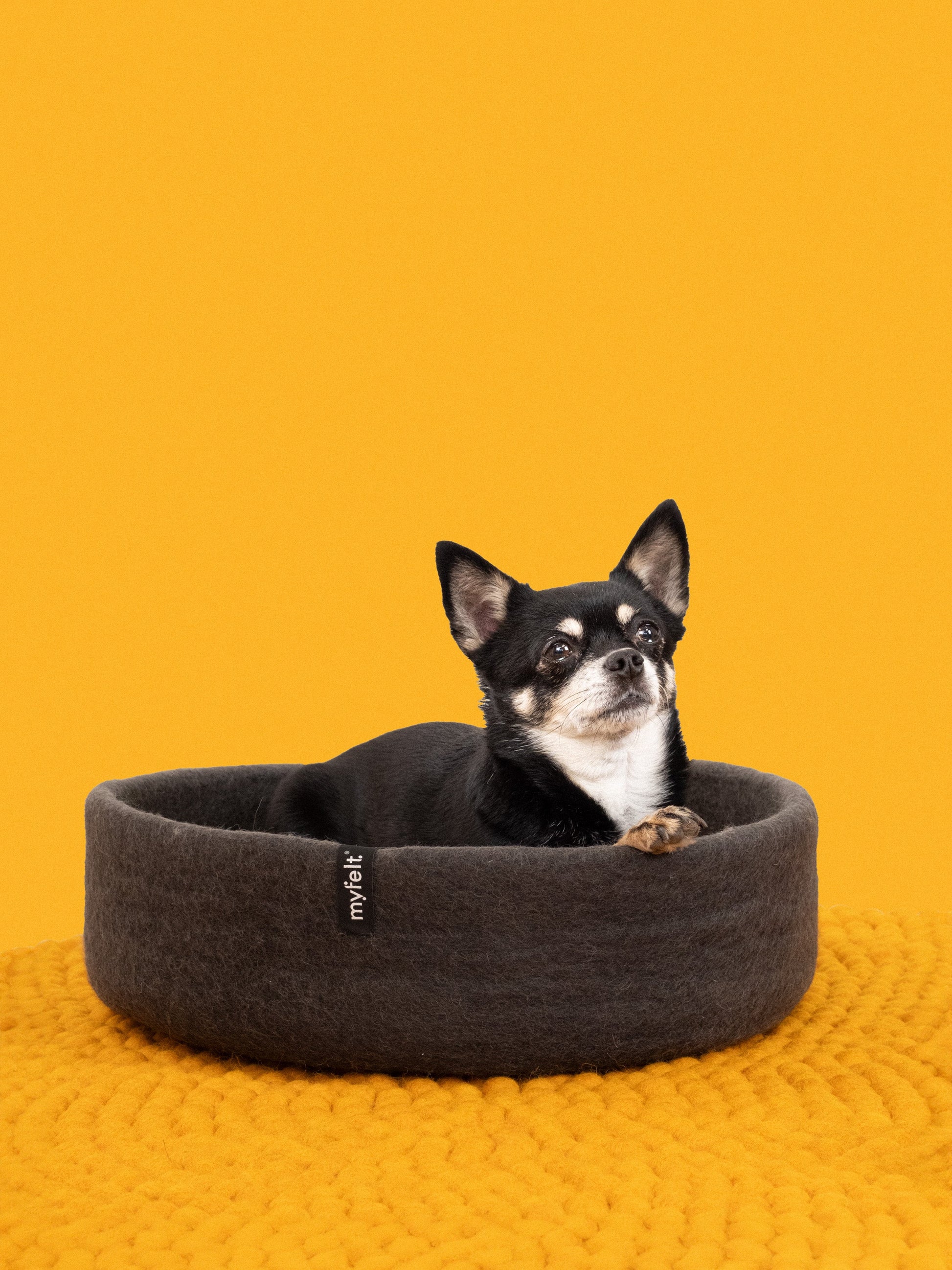 myfelt Kuno Hundekorb Hundebett aus Schurwolle – Bild 2