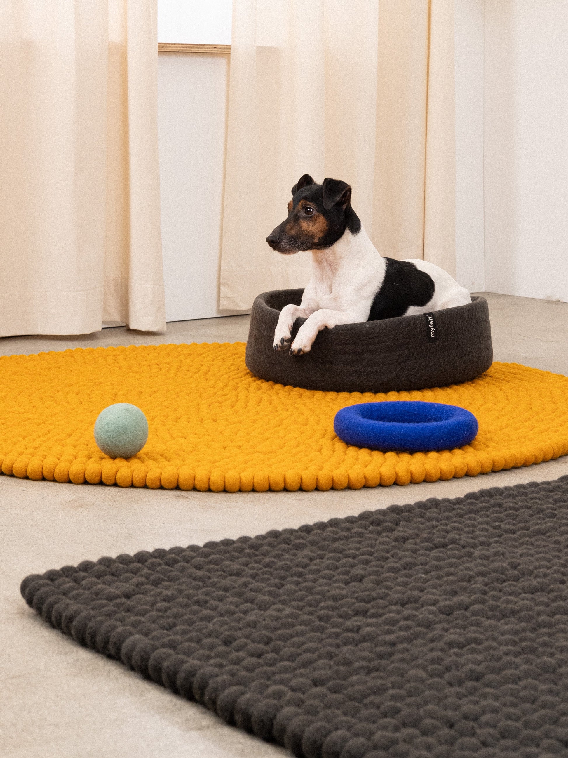 myfelt Kuno Hundekorb Hundebett aus Schurwolle – Bild 3
