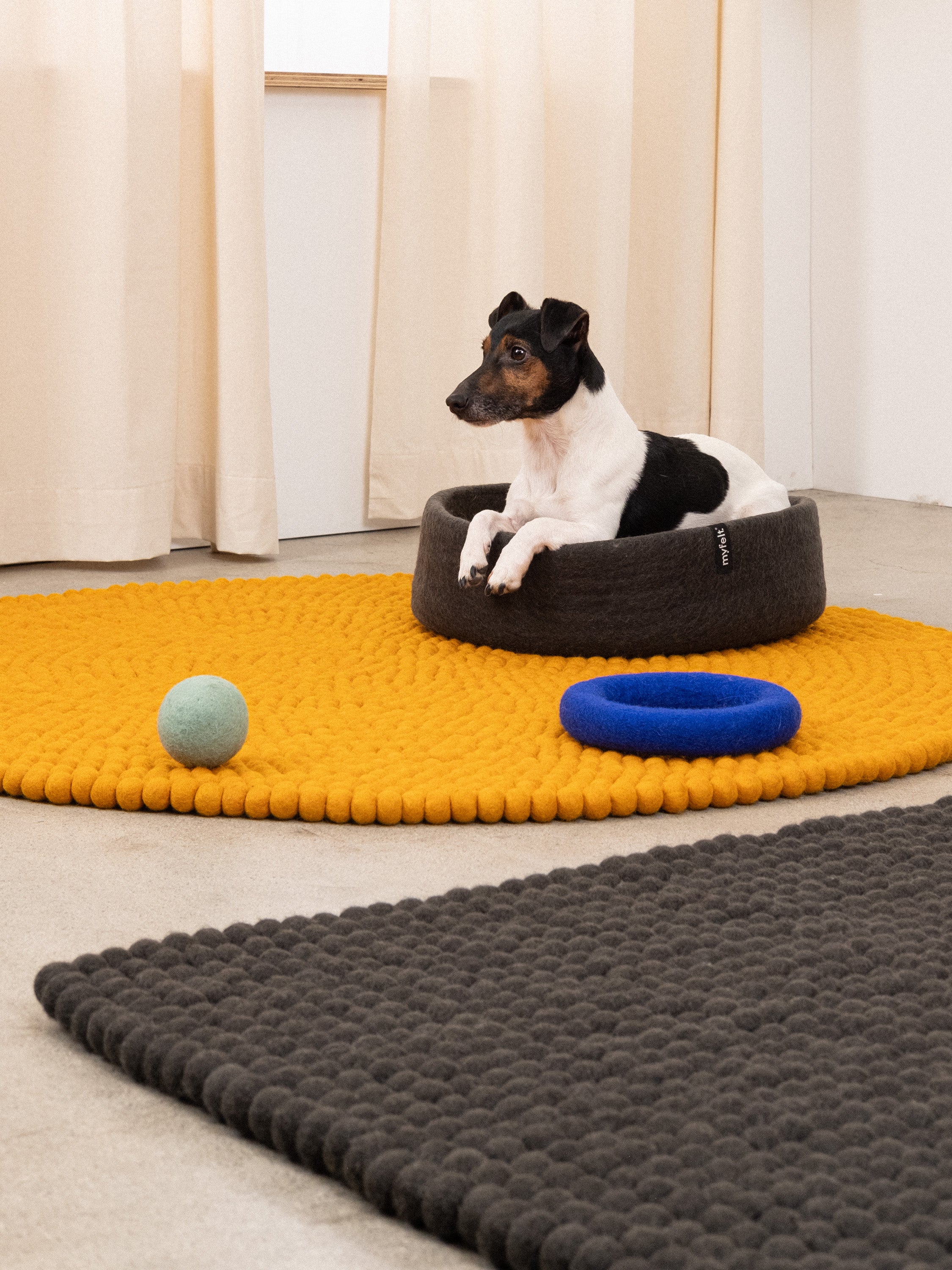 myfelt Kuno Hundekorb Hundebett aus Schurwolle – Bild 3