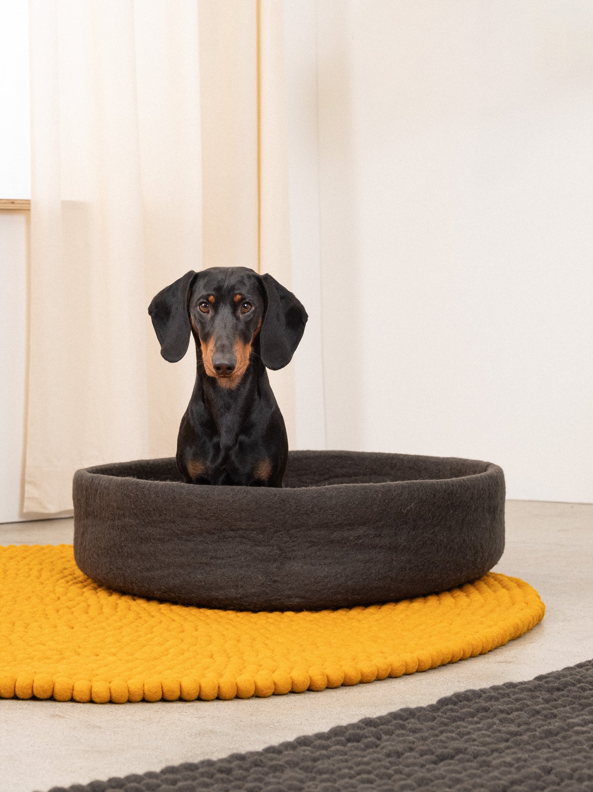 myfelt Kuno Hundekorb Hundebett aus Schurwolle – Bild 6