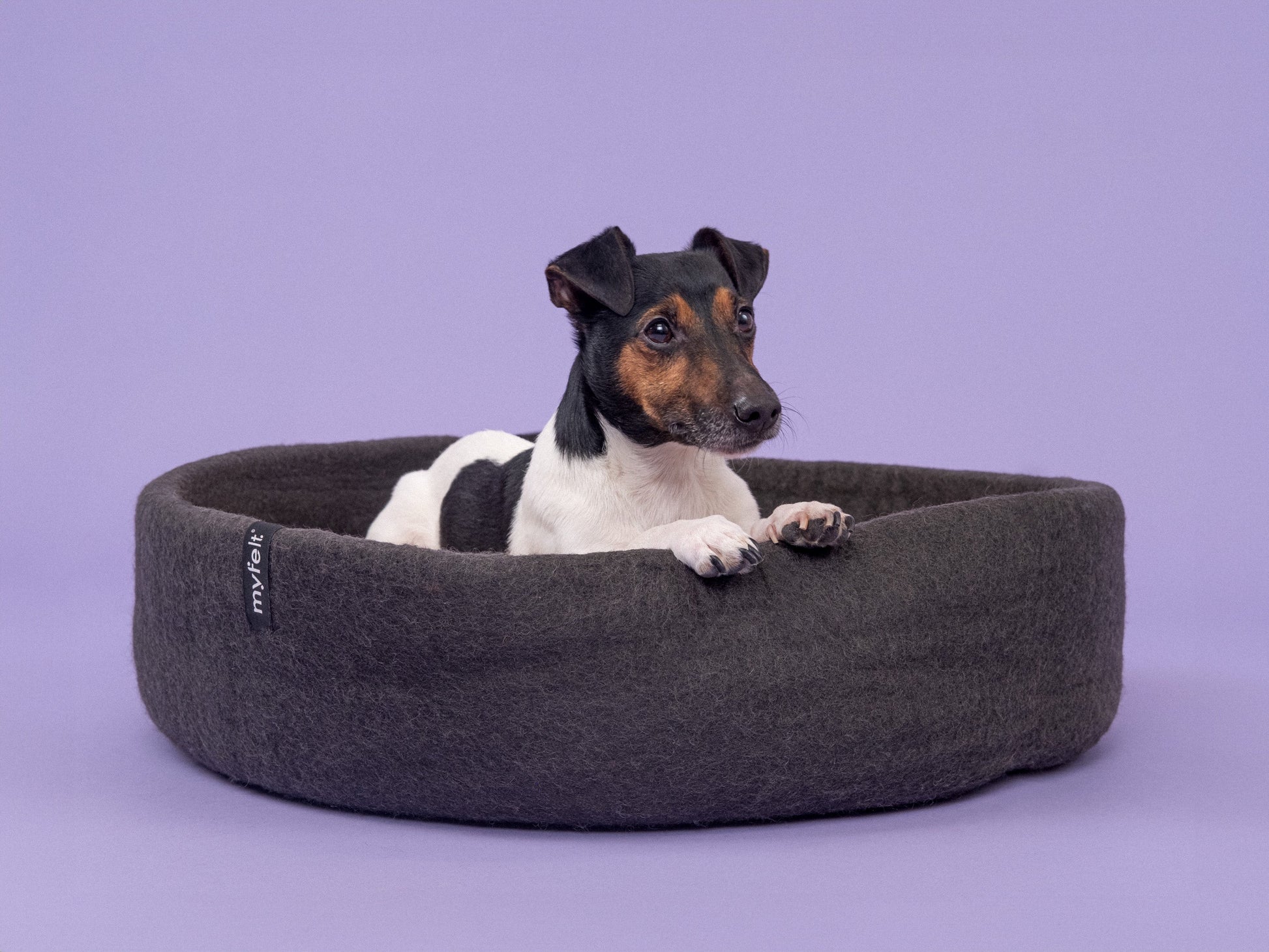 myfelt Kuno Hundekorb Hundebett aus Schurwolle – Bild 7