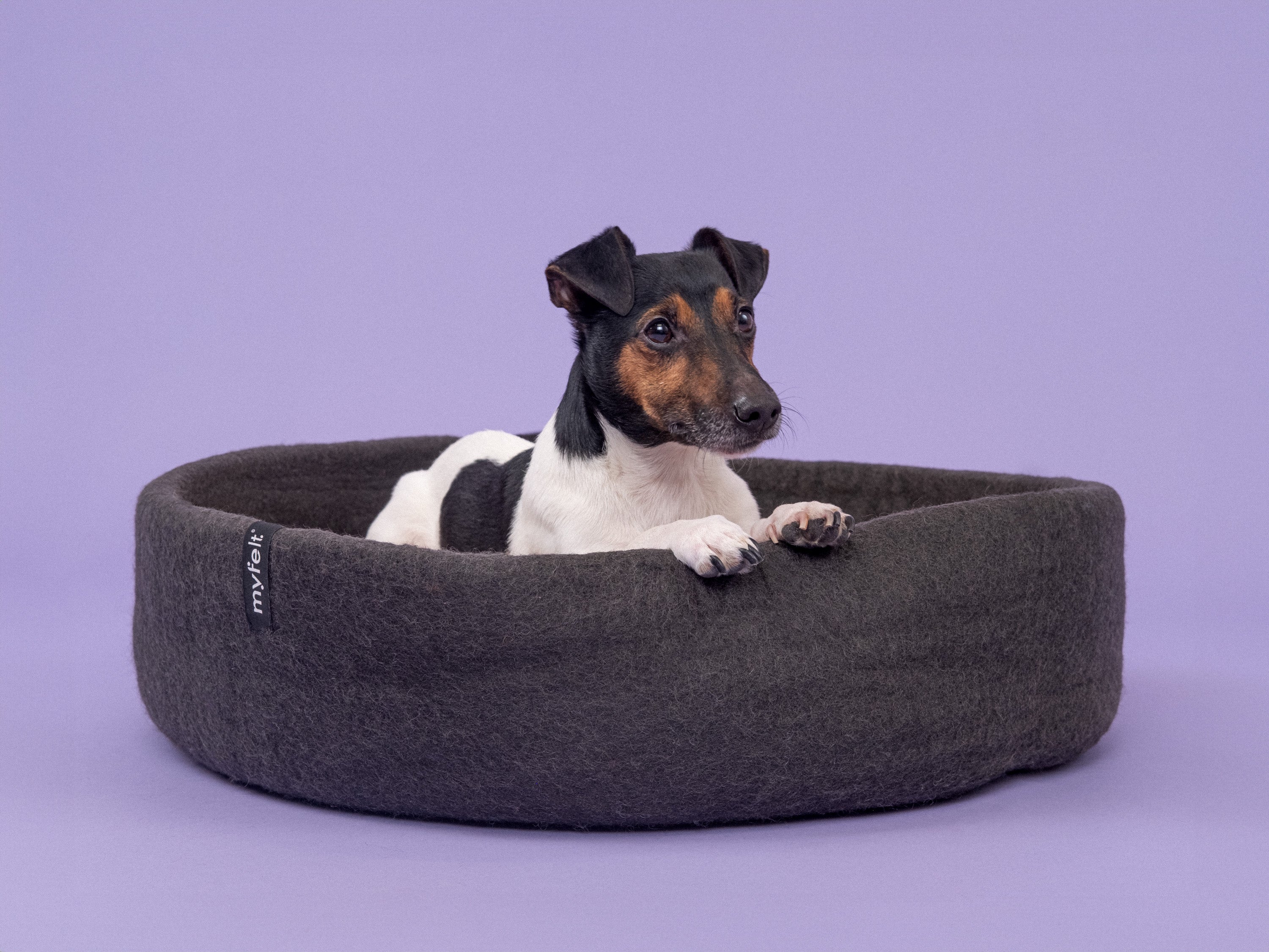 myfelt Kuno Hundekorb Hundebett aus Schurwolle – Bild 7