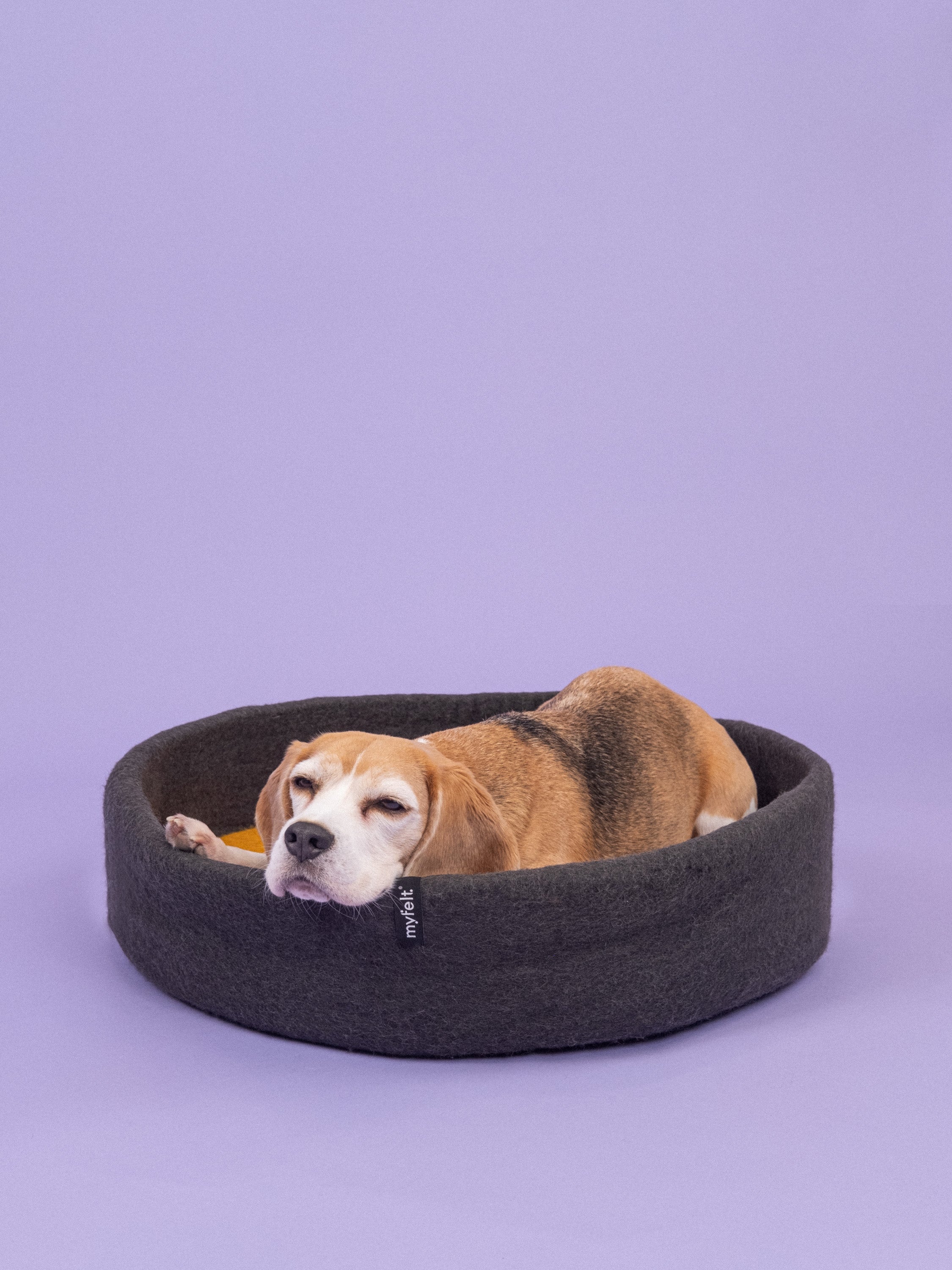 myfelt Kuno Hundekorb Hundebett aus Schurwolle – Bild 4