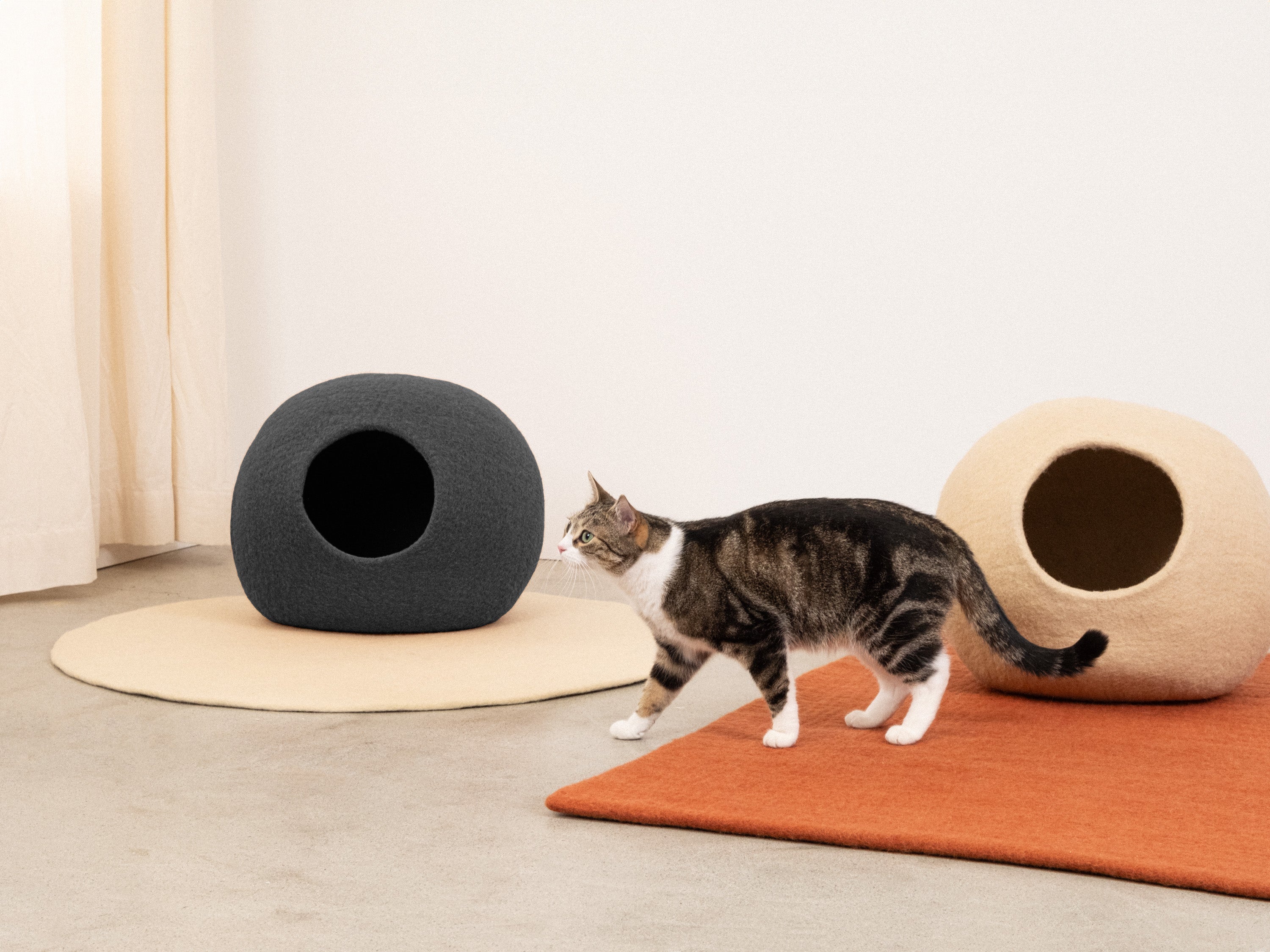 myfelt Kuno Katzenhöhle Katzenbett aus Schurwolle – Bild 3