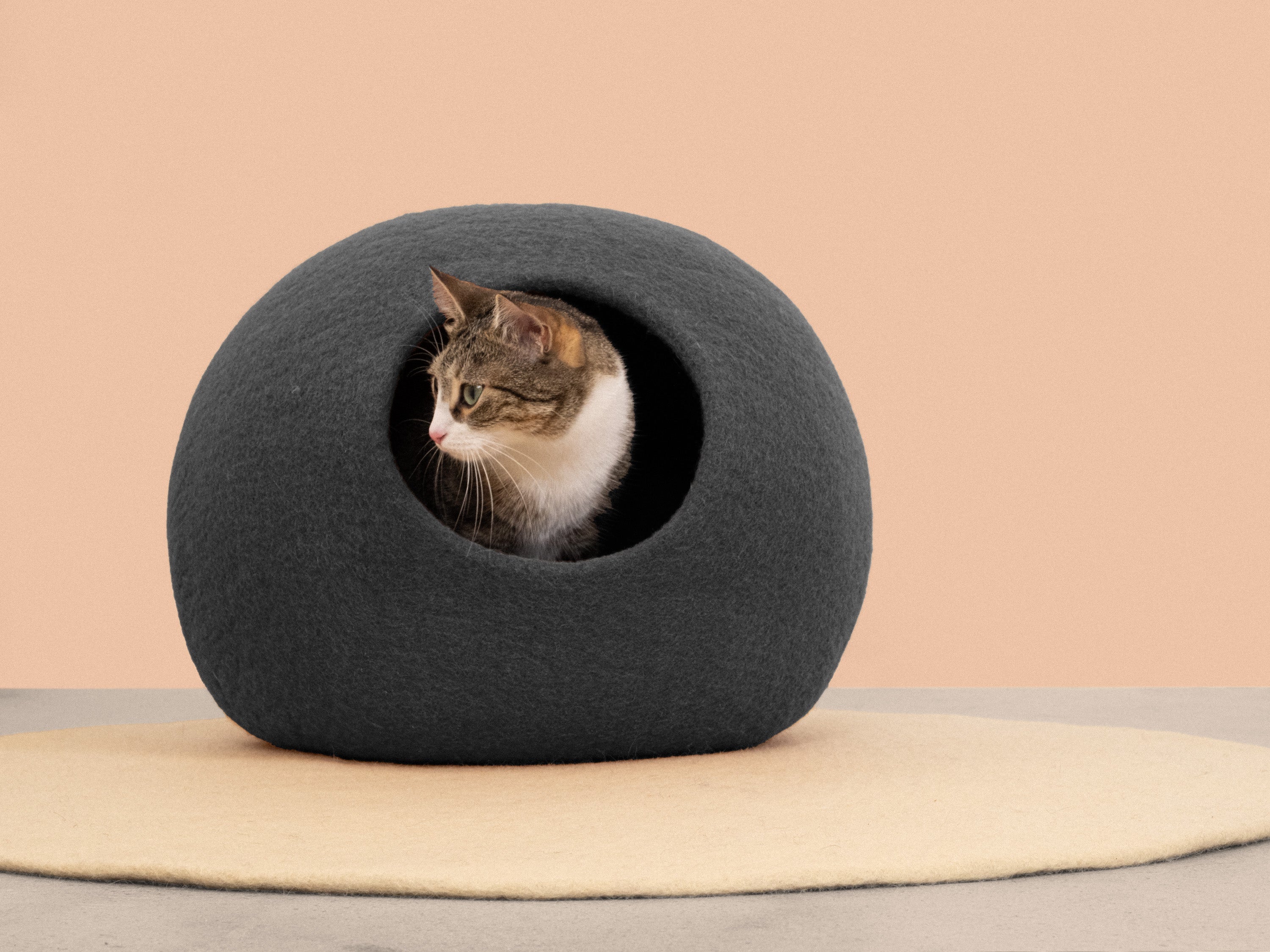 myfelt Kuno Katzenhöhle Katzenbett aus Schurwolle – Bild 4