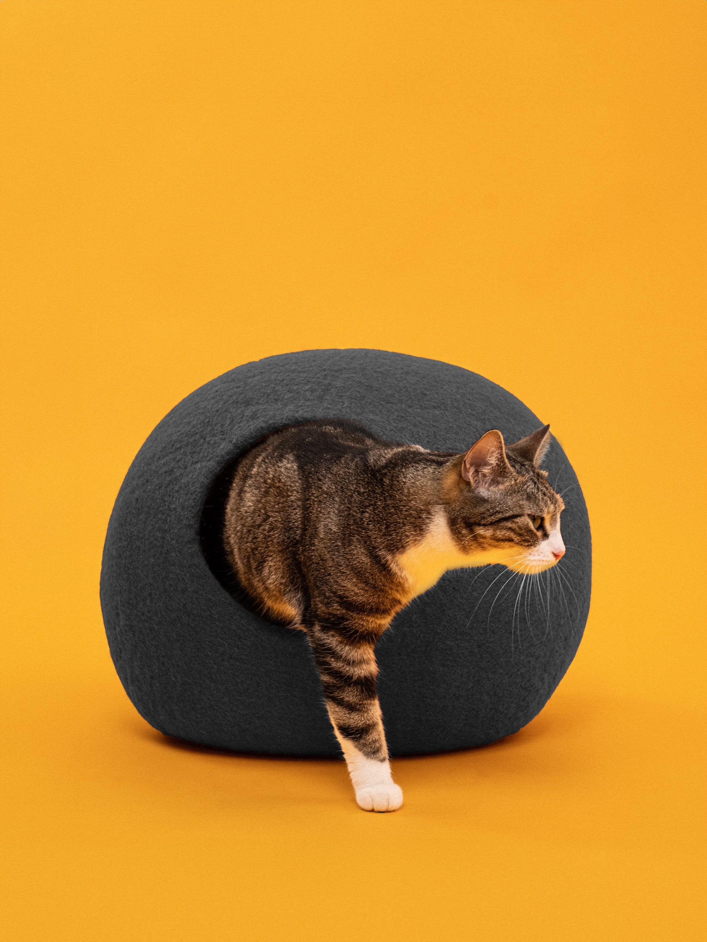 myfelt Kuno Katzenhöhle Katzenbett aus Schurwolle – Bild 2
