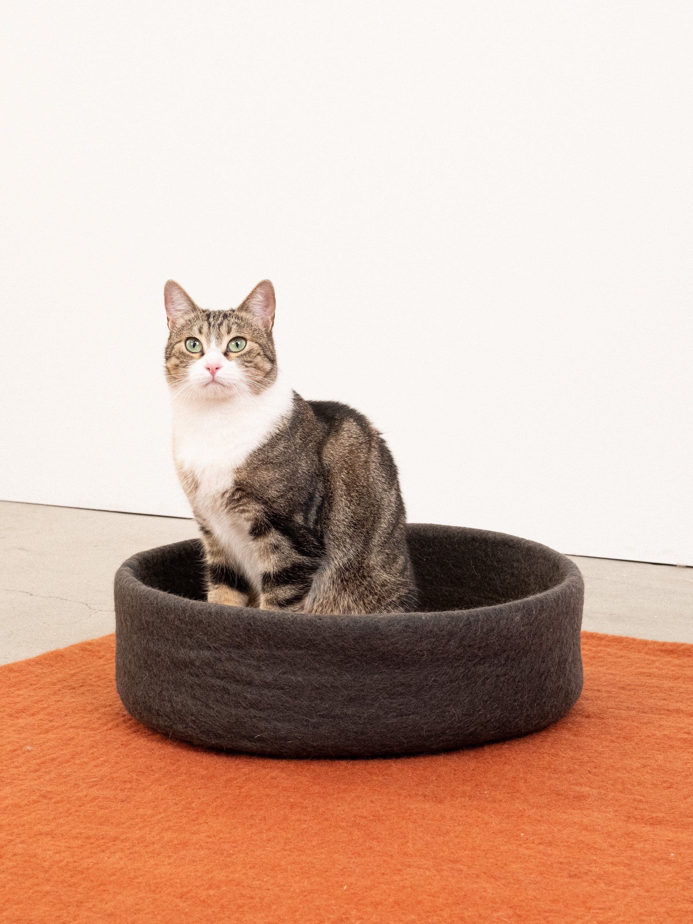 myfelt Kuno Katzenkorb Katzenbett aus Schurwolle – Bild 8
