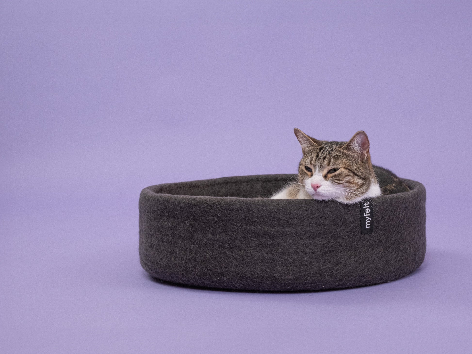 myfelt Kuno Katzenkorb Katzenbett aus Schurwolle – Bild 2