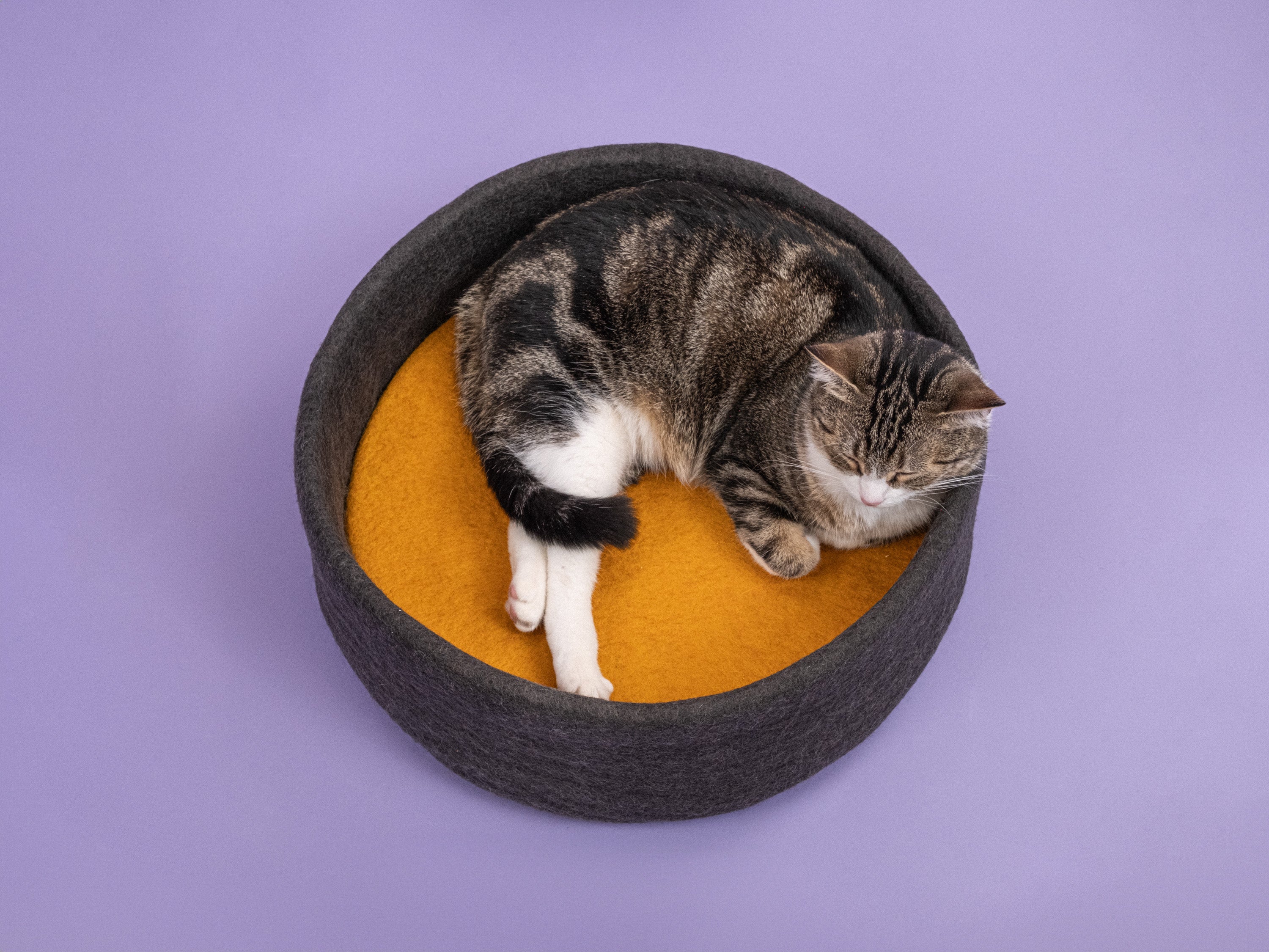 myfelt Kuno Katzenkorb Katzenbett aus Schurwolle – Bild 9