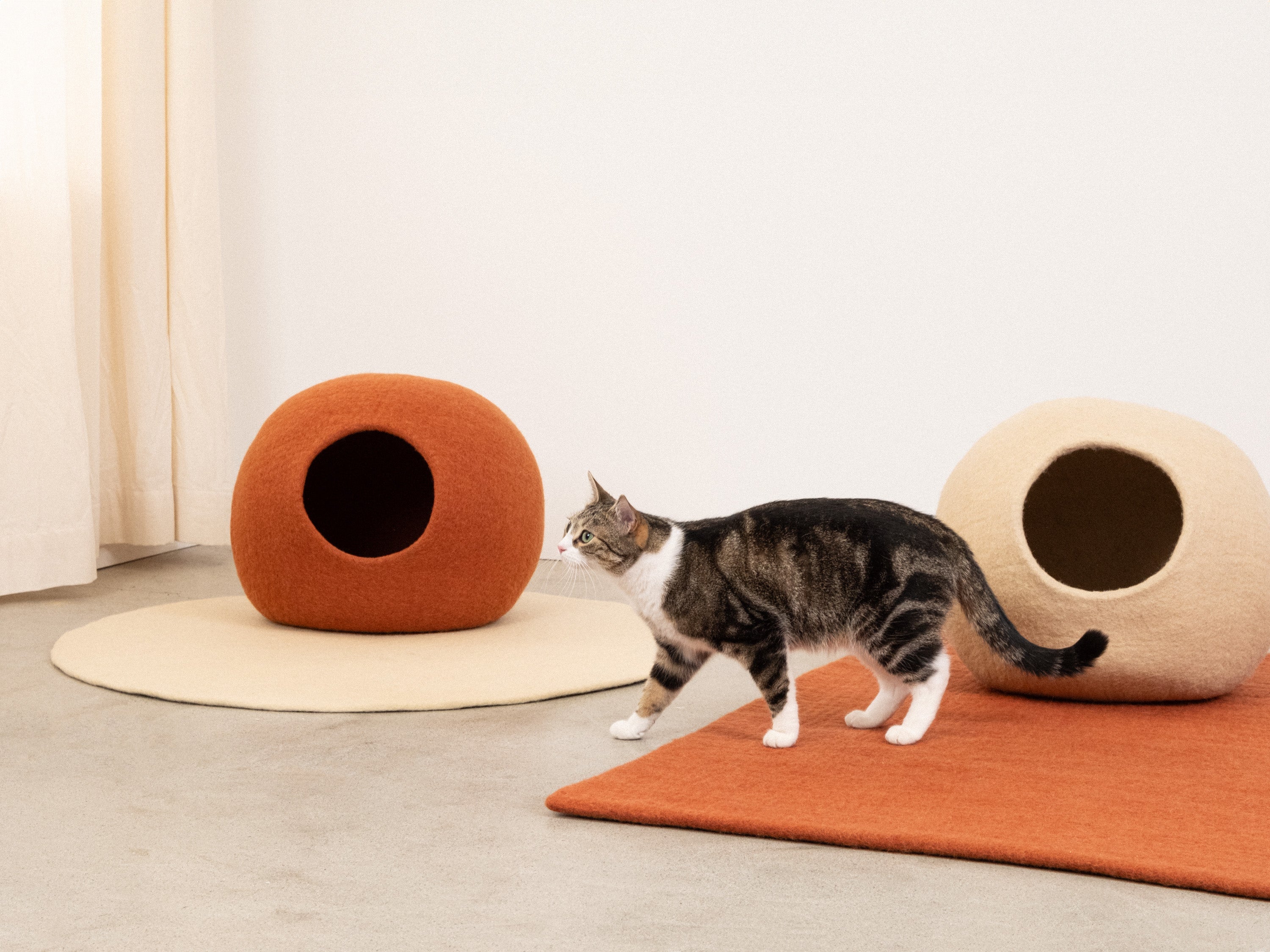 myfelt Levi Katzenhöhle Katzenbett aus Schurwolle – Bild 5