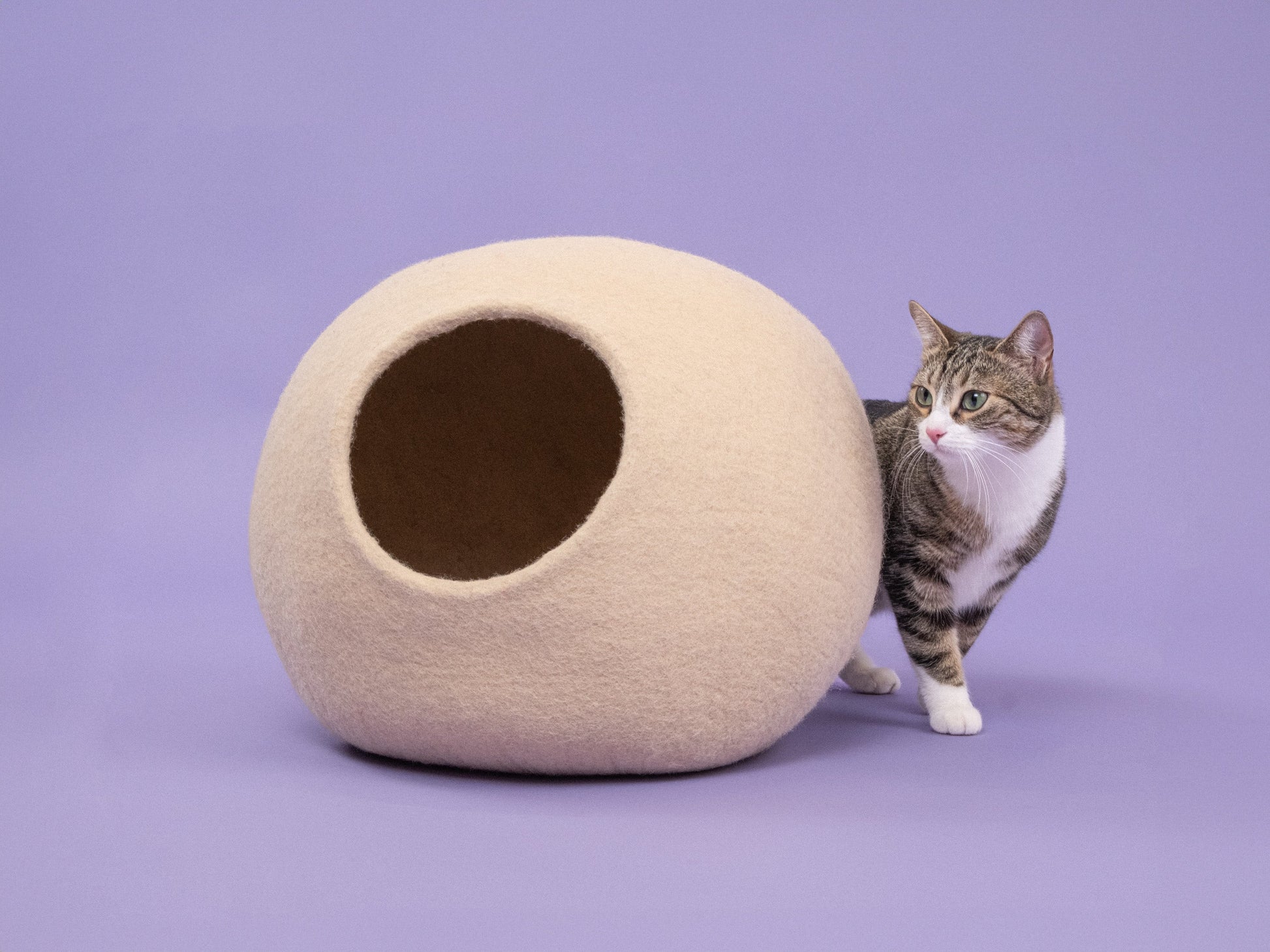 myfelt Levi Katzenhöhle Katzenbett aus Schurwolle – Bild 3