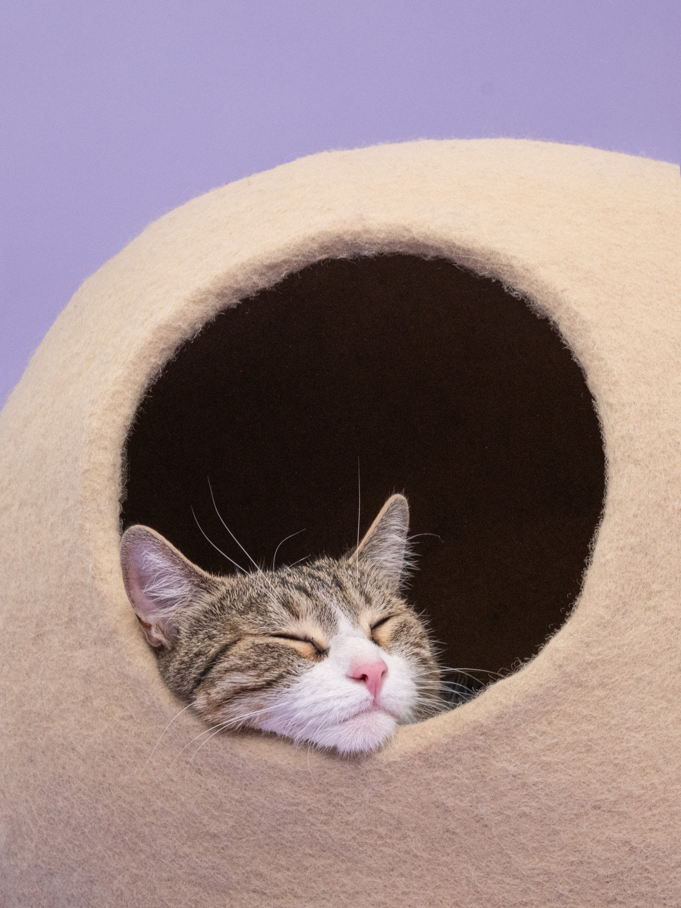 myfelt Levi Katzenhöhle Katzenbett aus Schurwolle – Bild 2