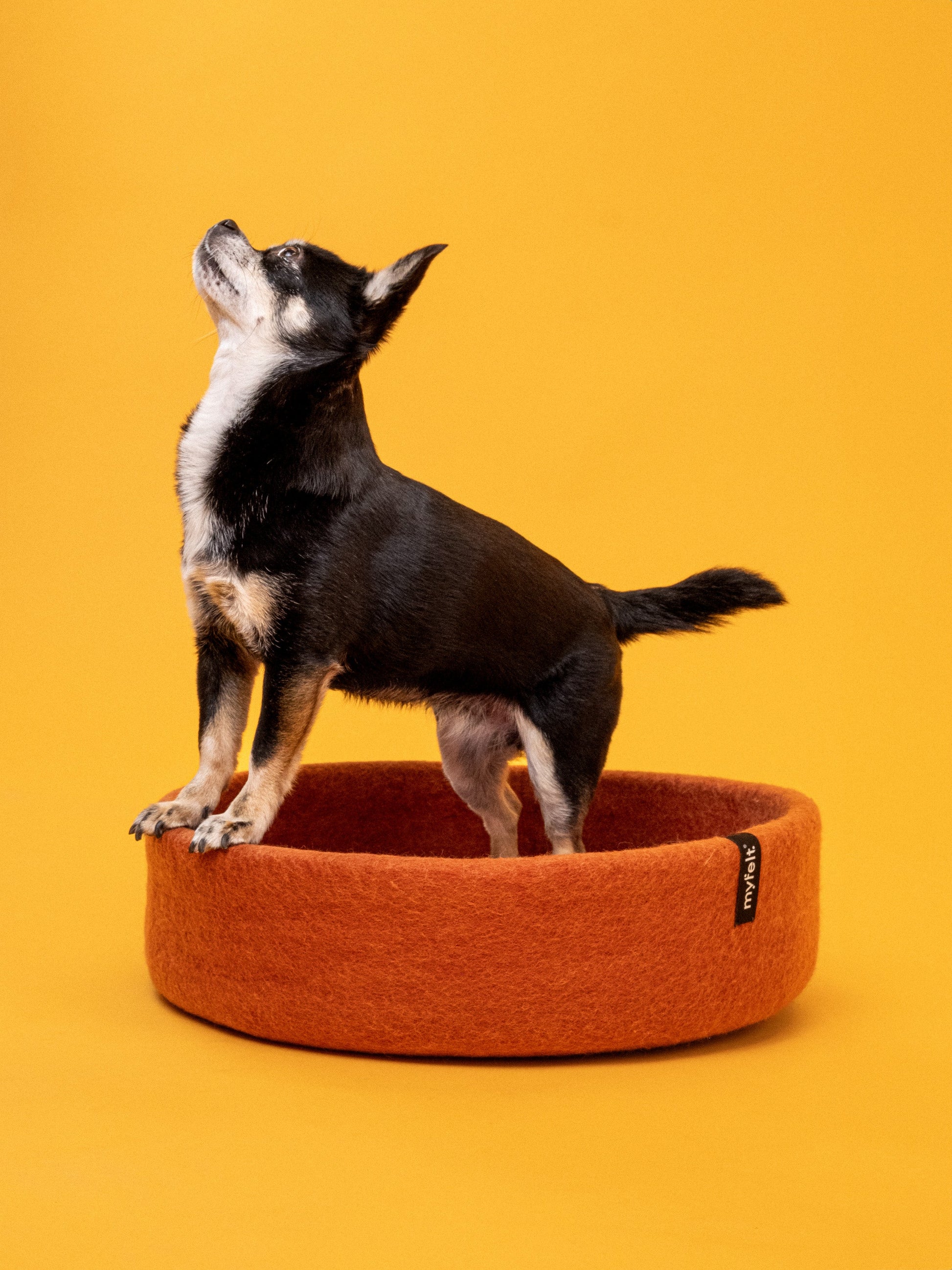 myfelt Lora Hundekorb Hundebett aus Schurwolle – Bild 16