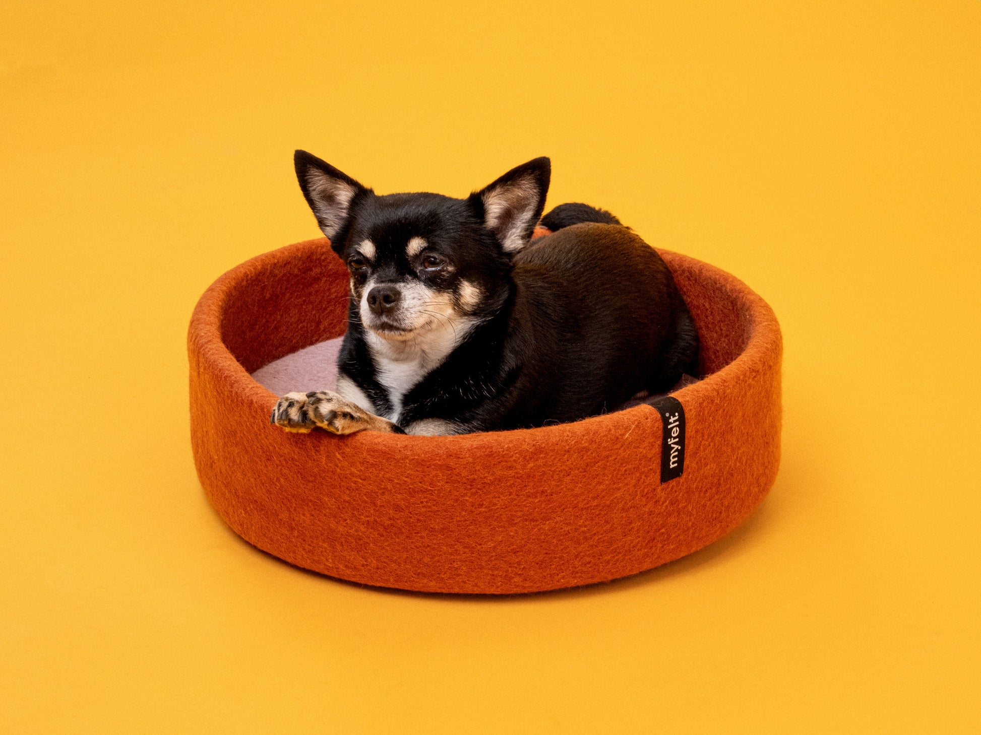 myfelt Lora Hundekorb Hundebett aus Schurwolle – Bild 15