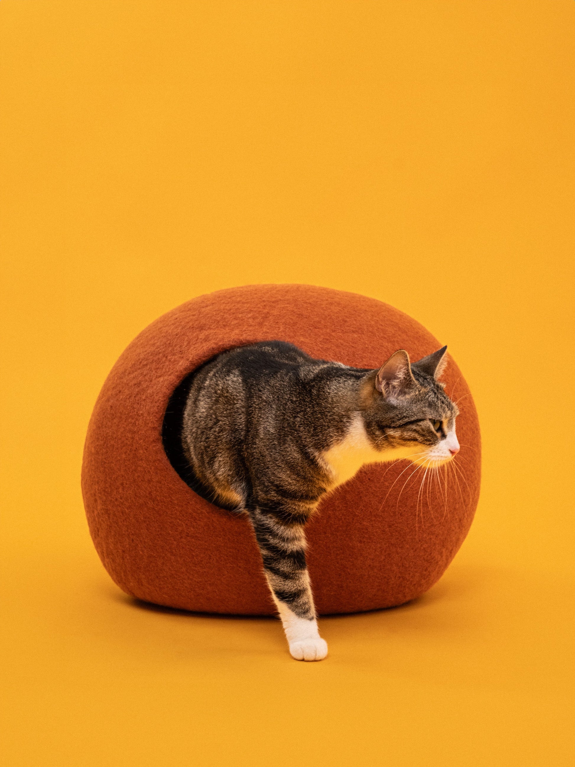 myfelt Lora Katzenhöhle Katzenbett aus Schurwolle – Bild 3