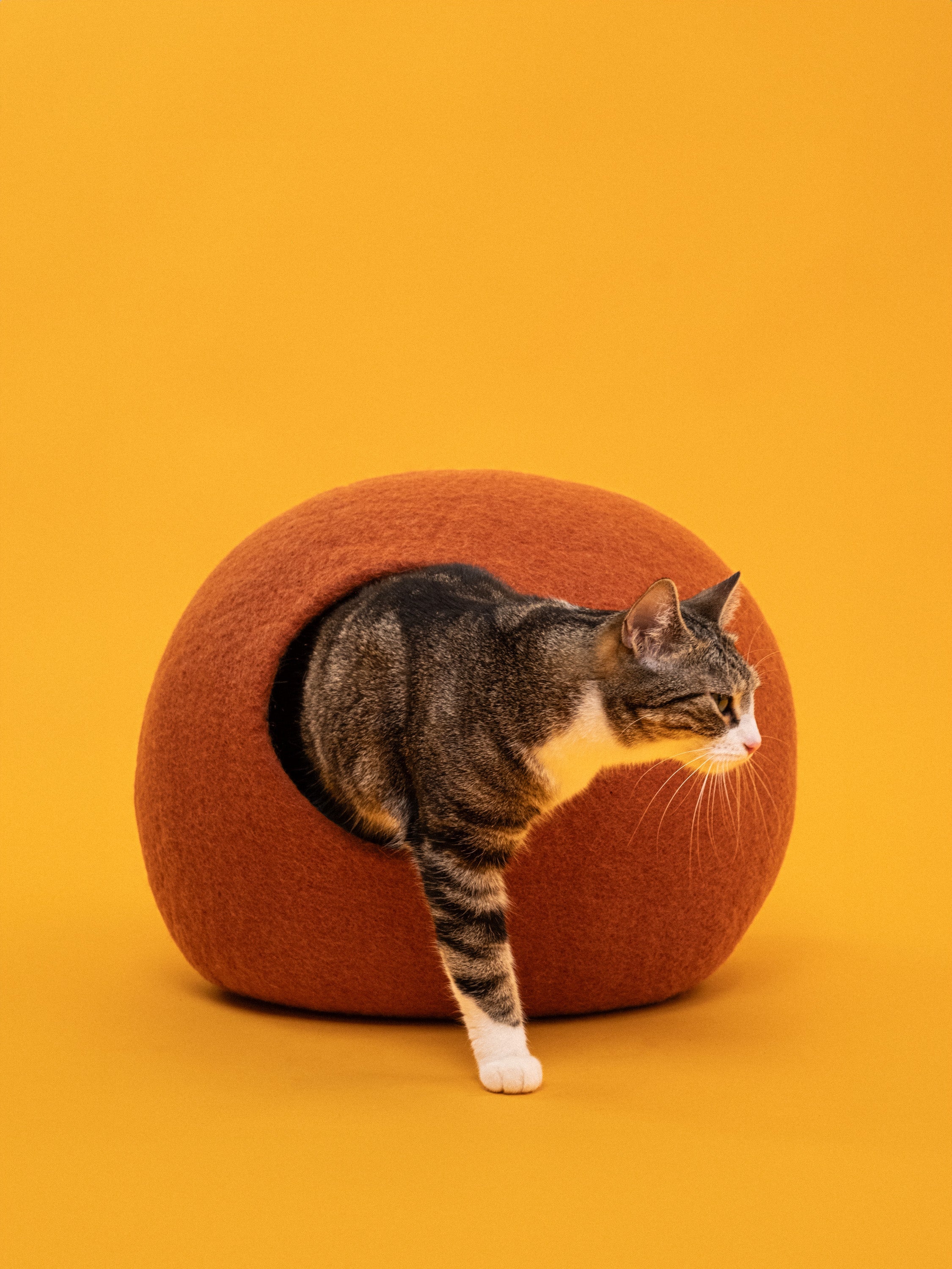 myfelt Lora Katzenhöhle Katzenbett aus Schurwolle – Bild 3