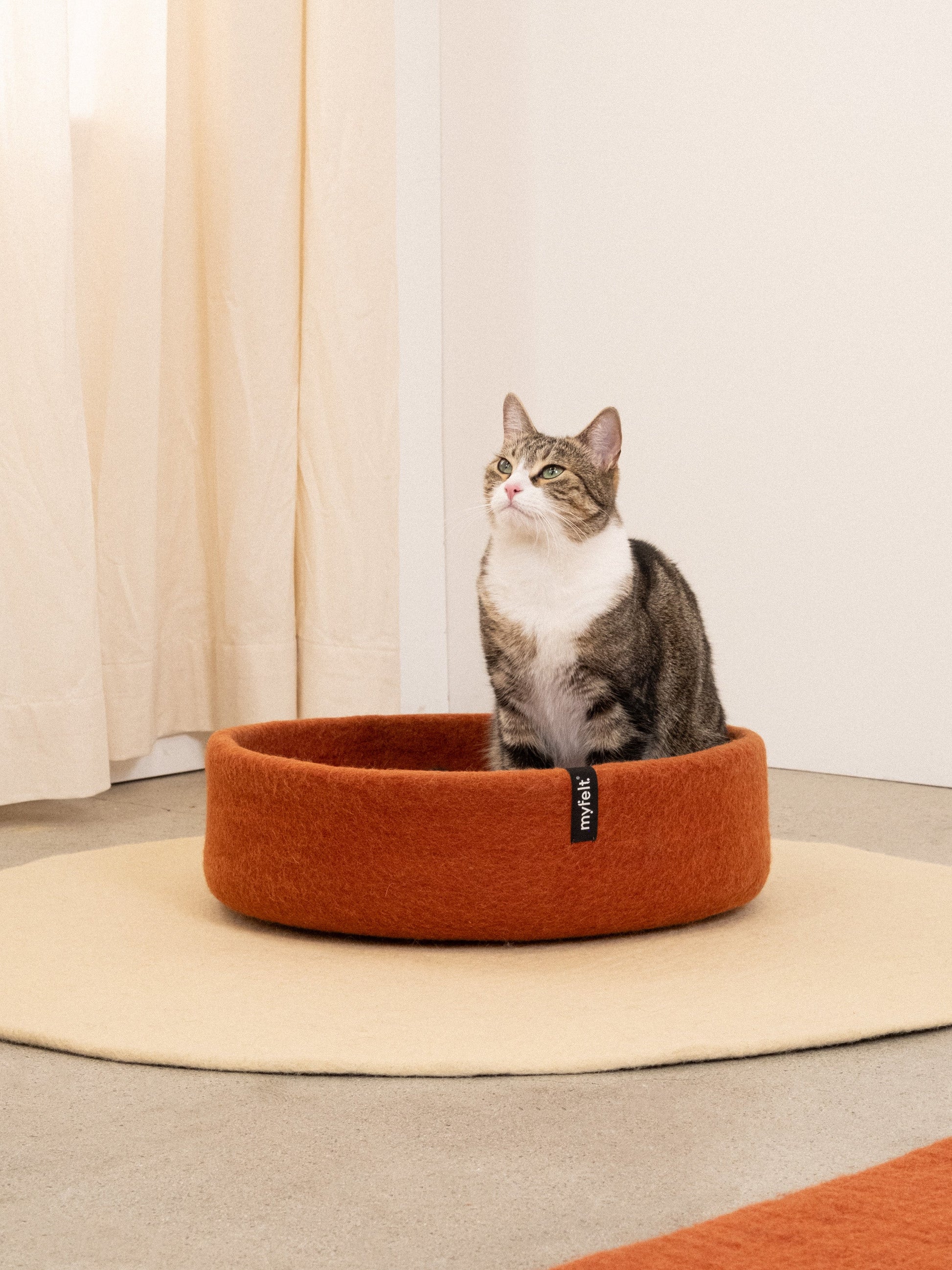 myfelt Lora Katzenkorb Katzenbett aus Schurwolle – Bild 8