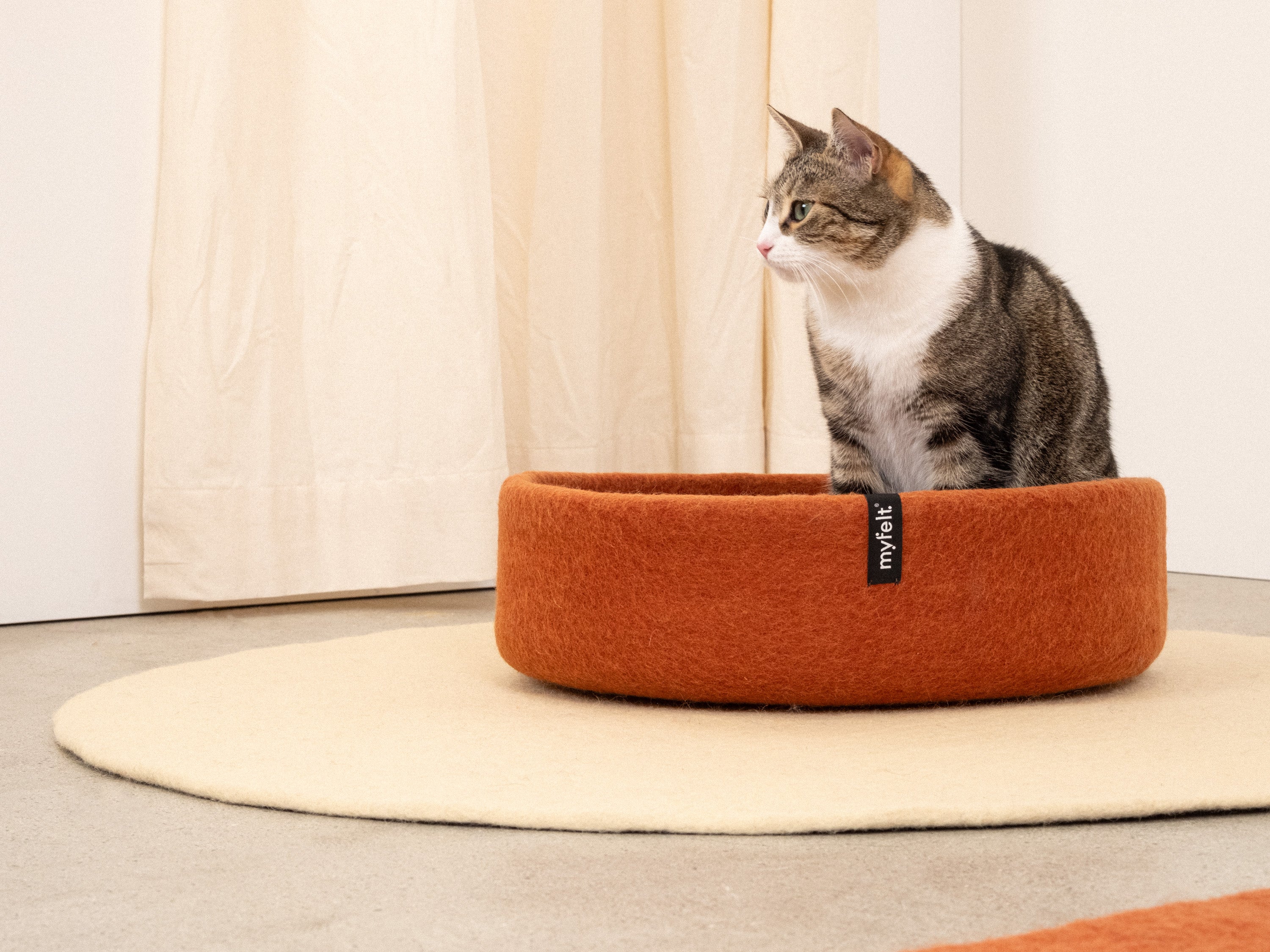 myfelt Lora Katzenkorb Katzenbett aus Schurwolle – Bild 2