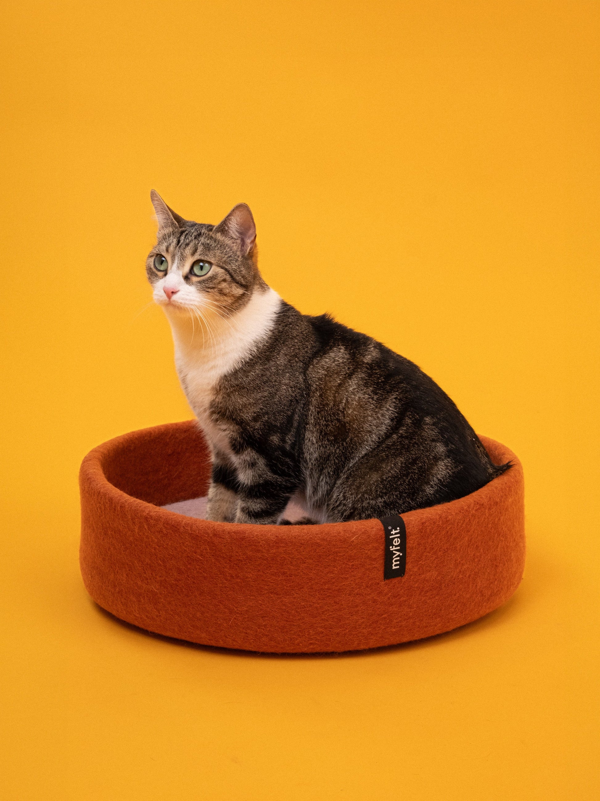 myfelt Lora Katzenkorb Katzenbett aus Schurwolle – Bild 9