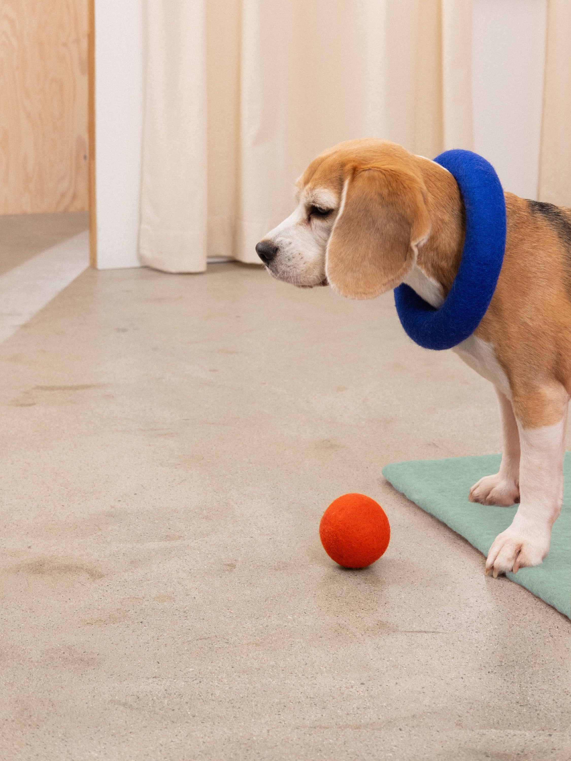 myfelt Mats & Marla Ball Set Hundespielzeug aus Schurwolle – Bild 2