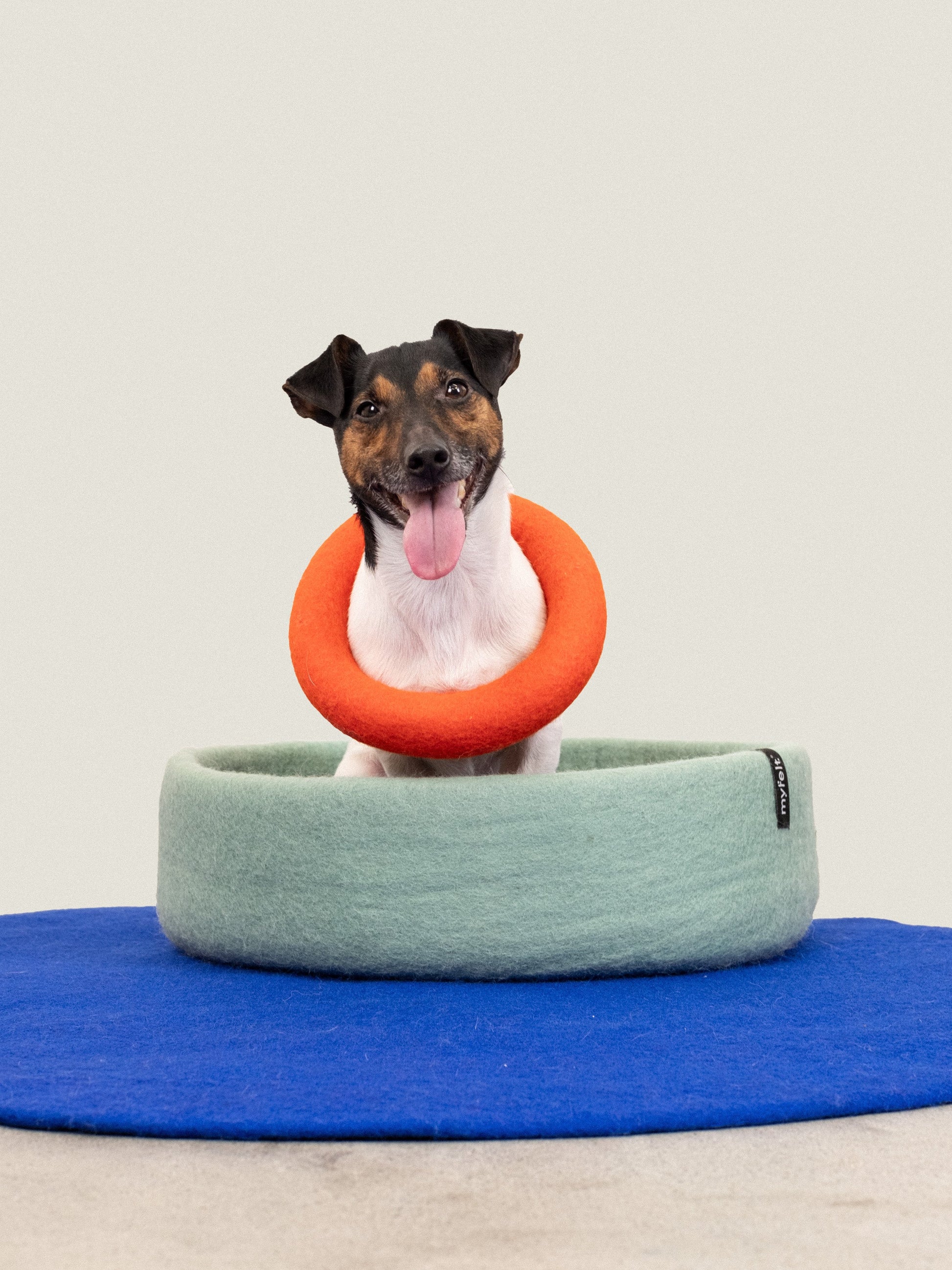 myfelt Fine Hundespielzeug - Ring Hundespielzeug aus Schurwolle – Bild 3