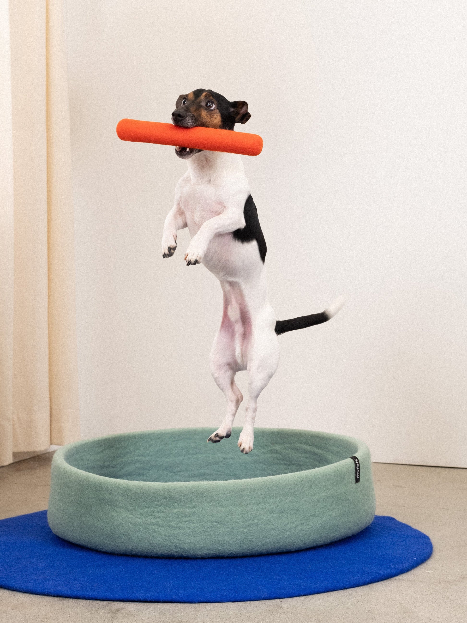myfelt Isa Hundespielzeug - Stock Hundespielzeug aus Schurwolle – Bild 5