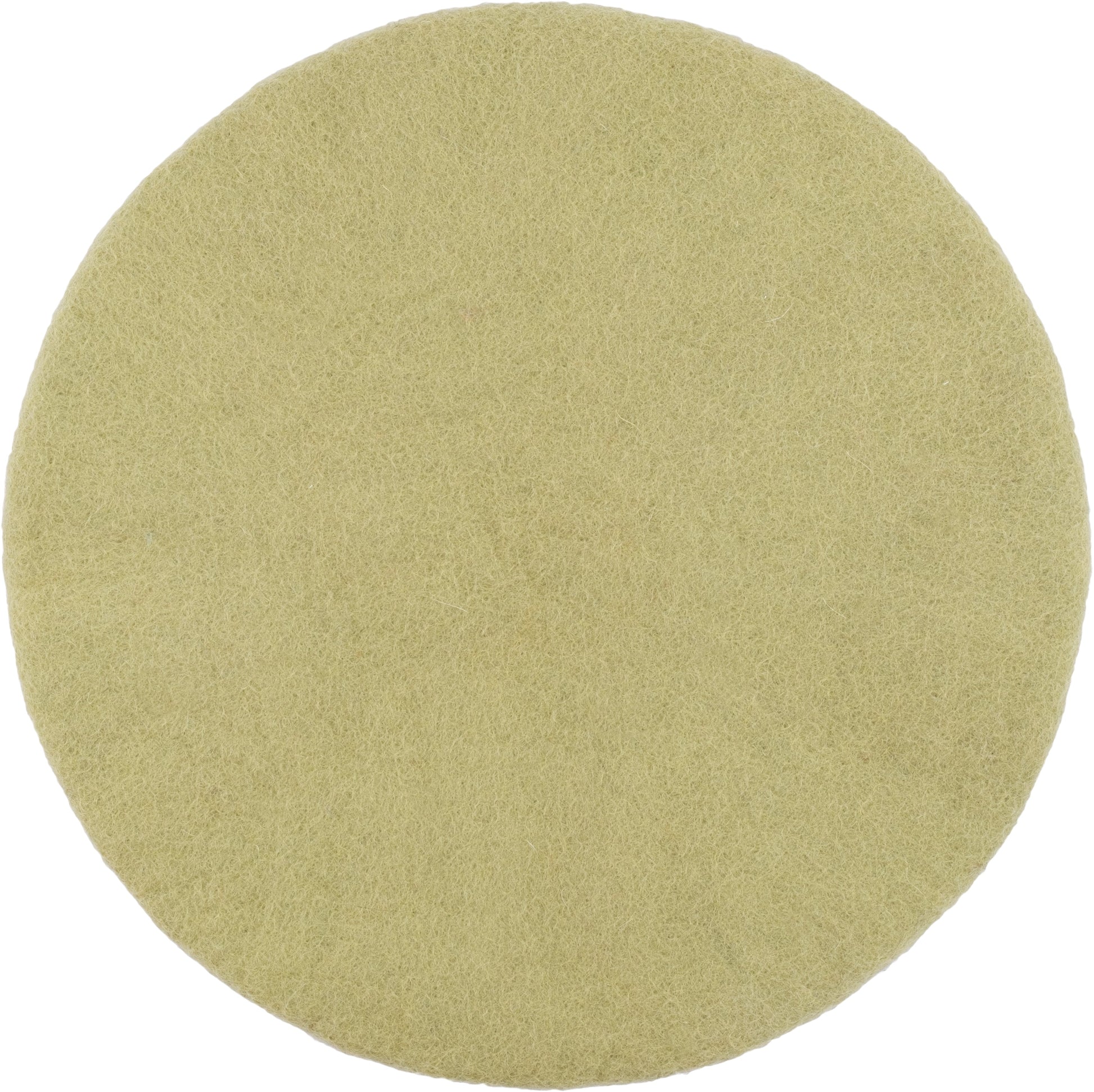 myfelt Pitt