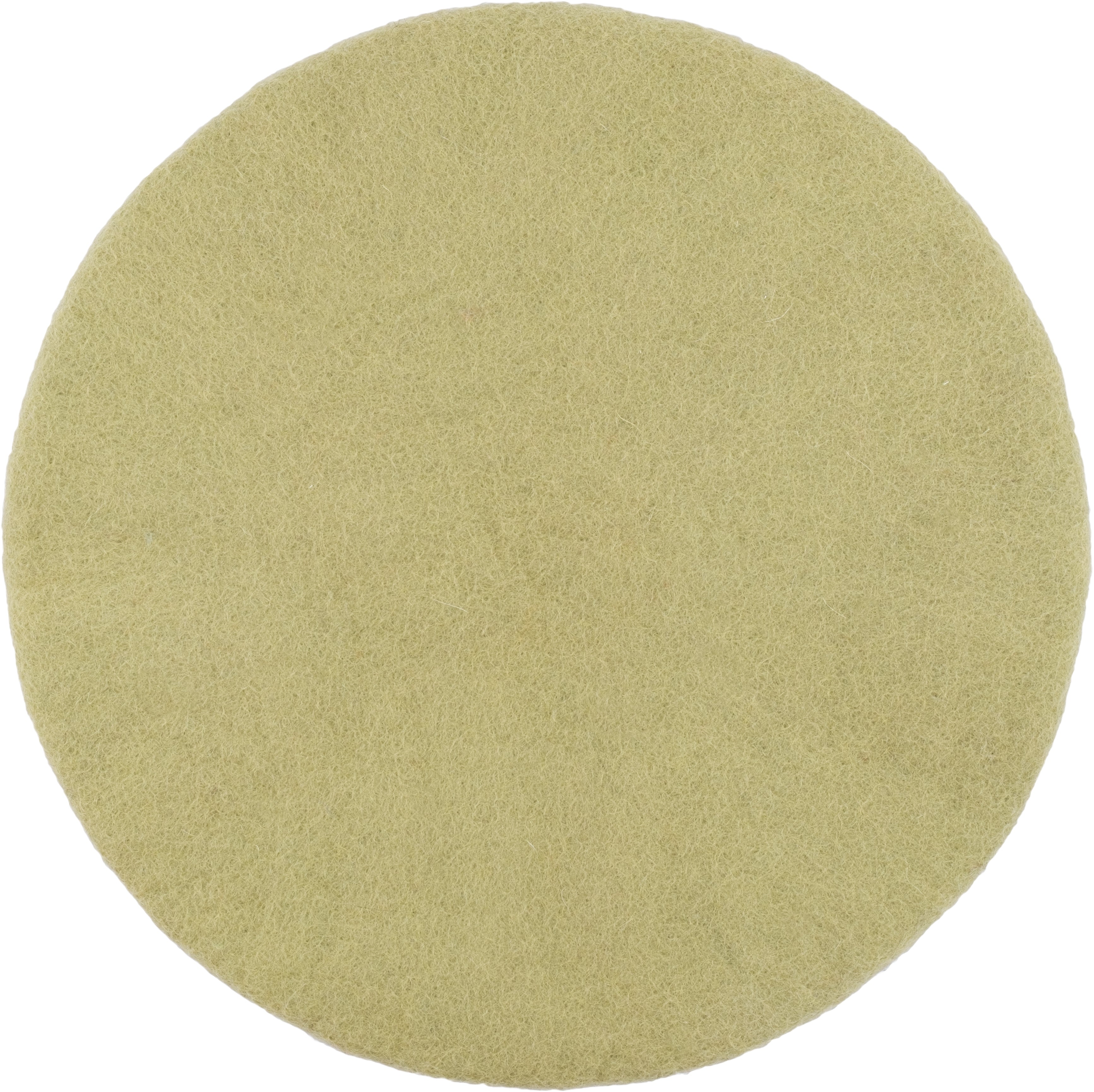 myfelt Pitt