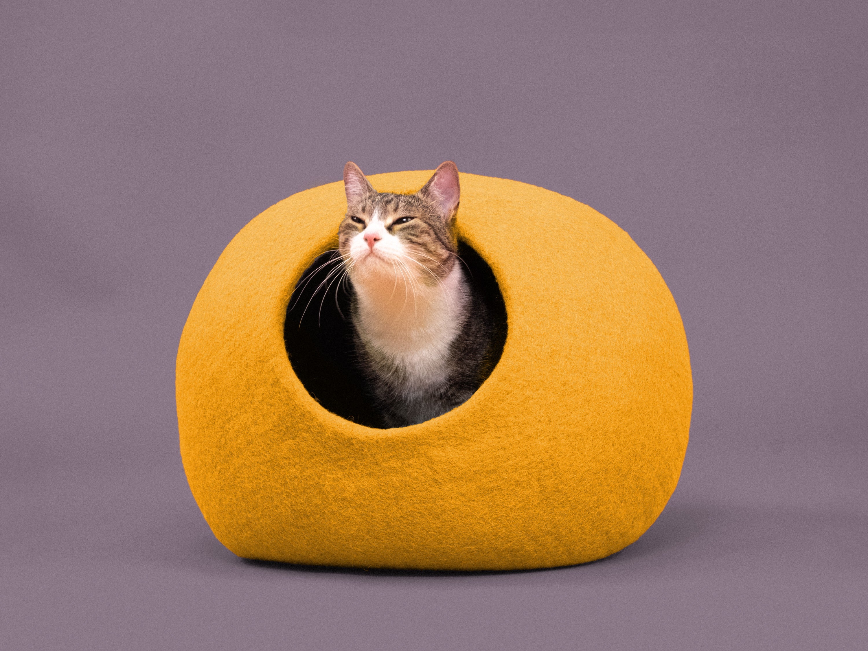 myfelt Risa Katzenhöhle Katzenbett aus Schurwolle – Bild 4