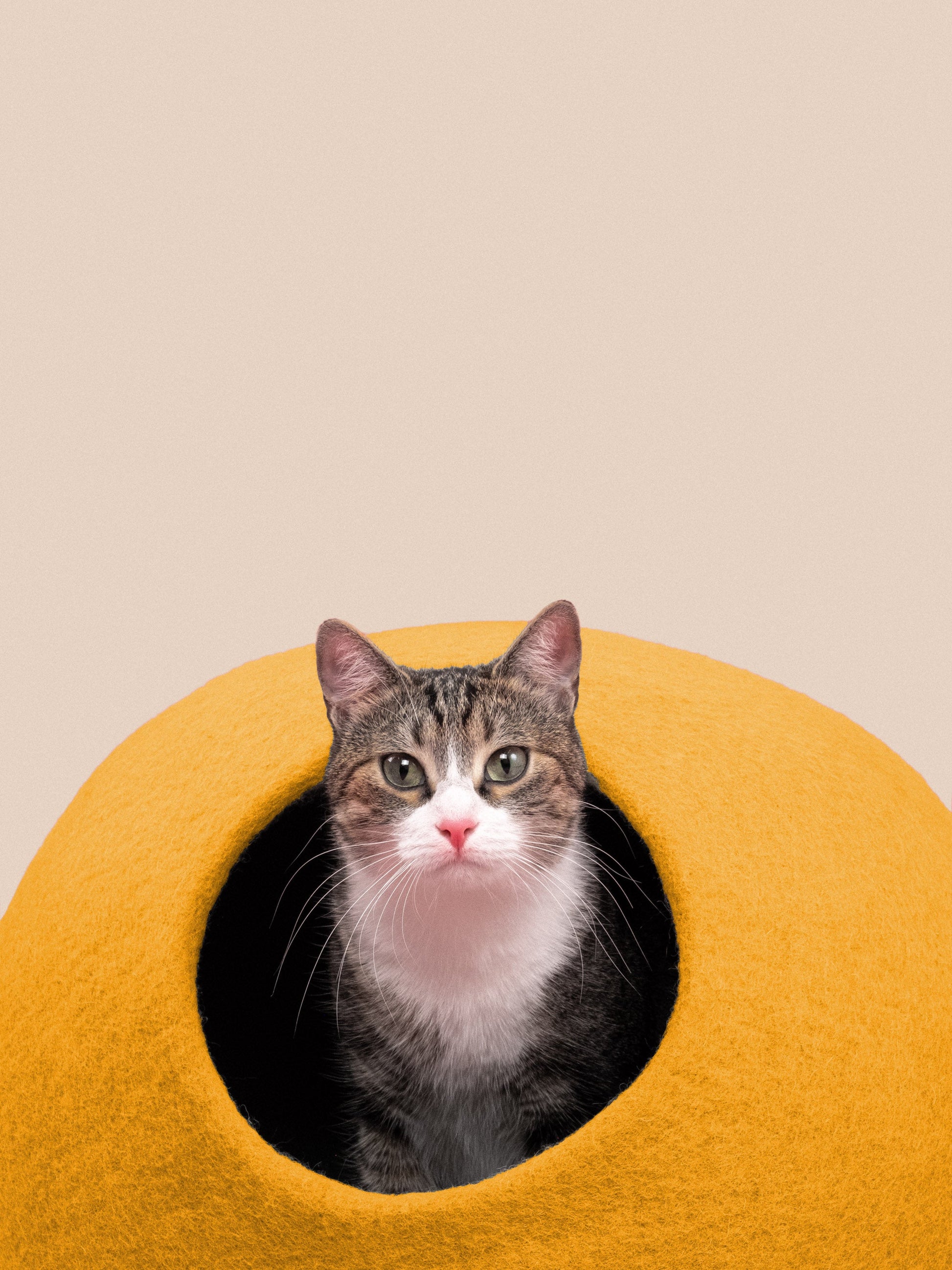myfelt Risa Katzenhöhle Katzenbett aus Schurwolle – Bild 3